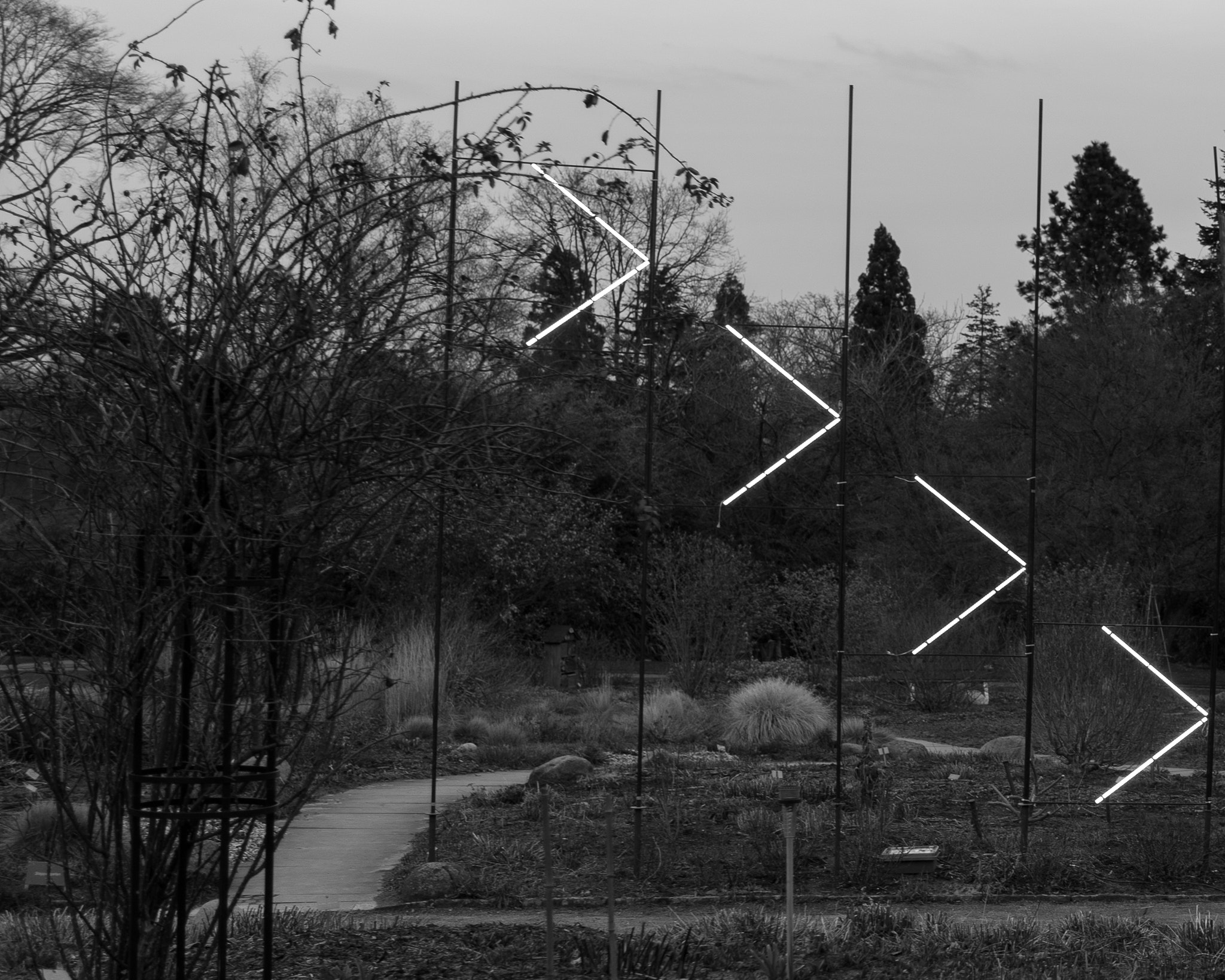 Sony Cyber-shot DSC-RX1 + 35mm F2.0 sample photo. Zur natur rechts lang photography
