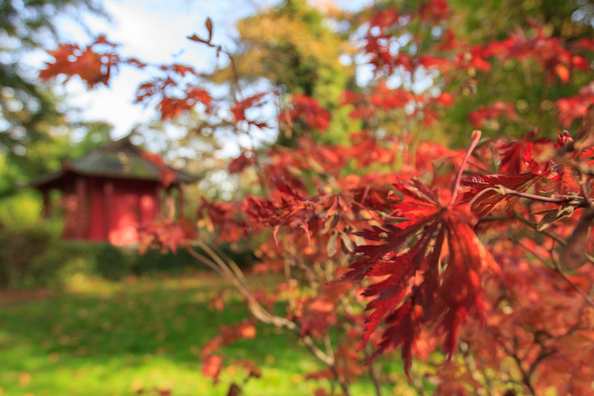 Canon EF 16-35mm F2.8L II USM sample photo. Ambiance photography
