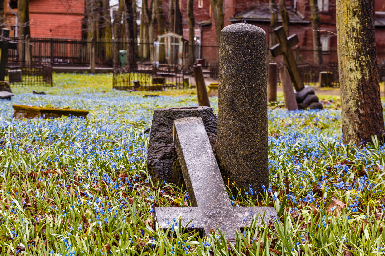 Canon EOS 70D + Sigma 24-70mm F2.8 EX DG Macro sample photo. Old german cemetery photography