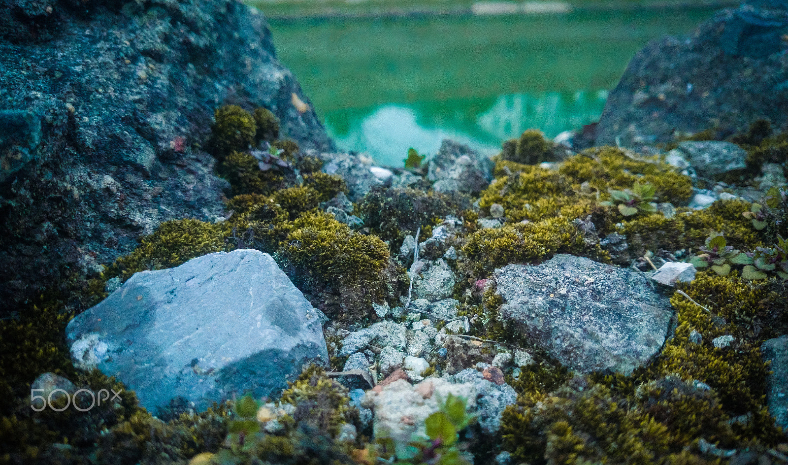 Sony Xperia Z1 Compact sample photo. River bank photography