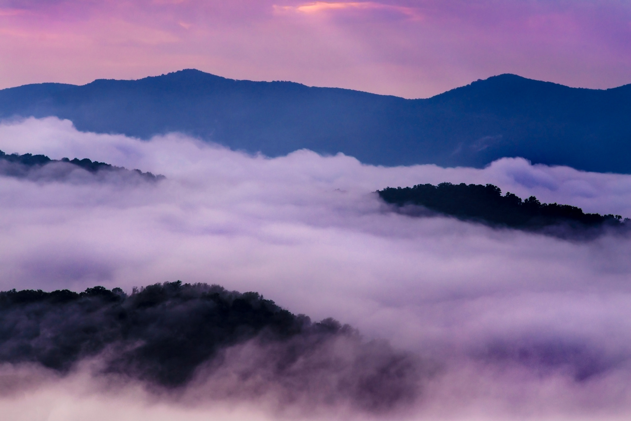 Nikon D600 + AF Nikkor 180mm f/2.8 IF-ED sample photo. Smokies photography