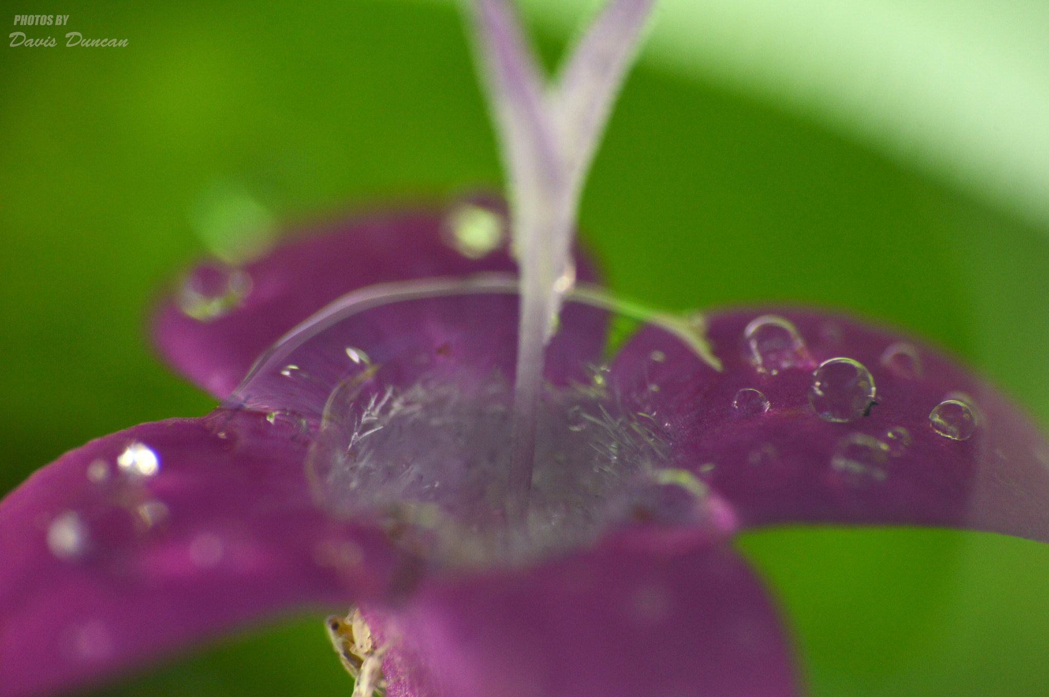 Nikon D3200 sample photo. Inside the beauty photography