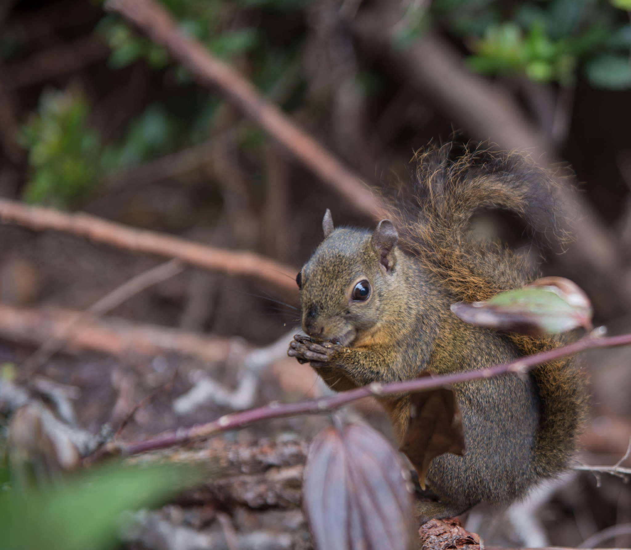 Nikon D610 + Sigma 24-70mm F2.8 EX DG HSM sample photo. Pause repas photography