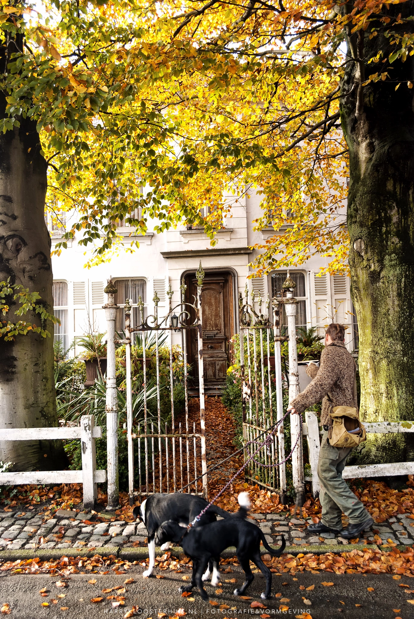 Nikon D80 sample photo. Postmen photography