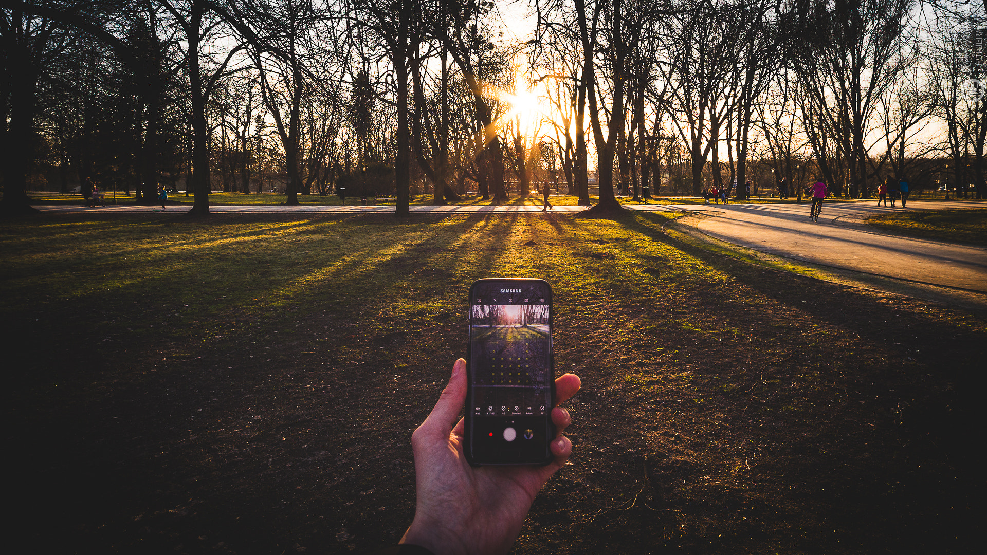 Samyang 14mm F2.8 ED AS IF UMC sample photo. Catching the last rays of the sun. photography