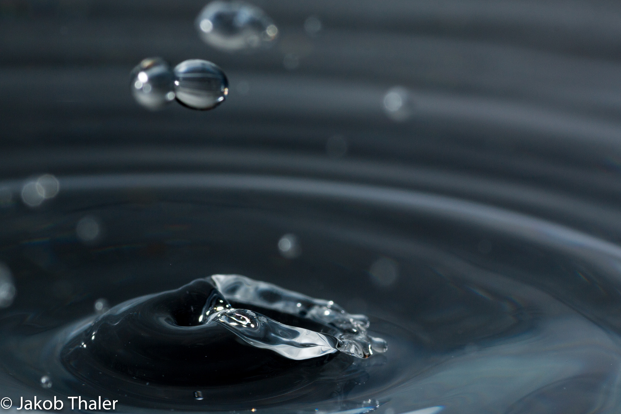 Canon EOS 70D + Tamron SP AF 90mm F2.8 Di Macro sample photo. Drops photography