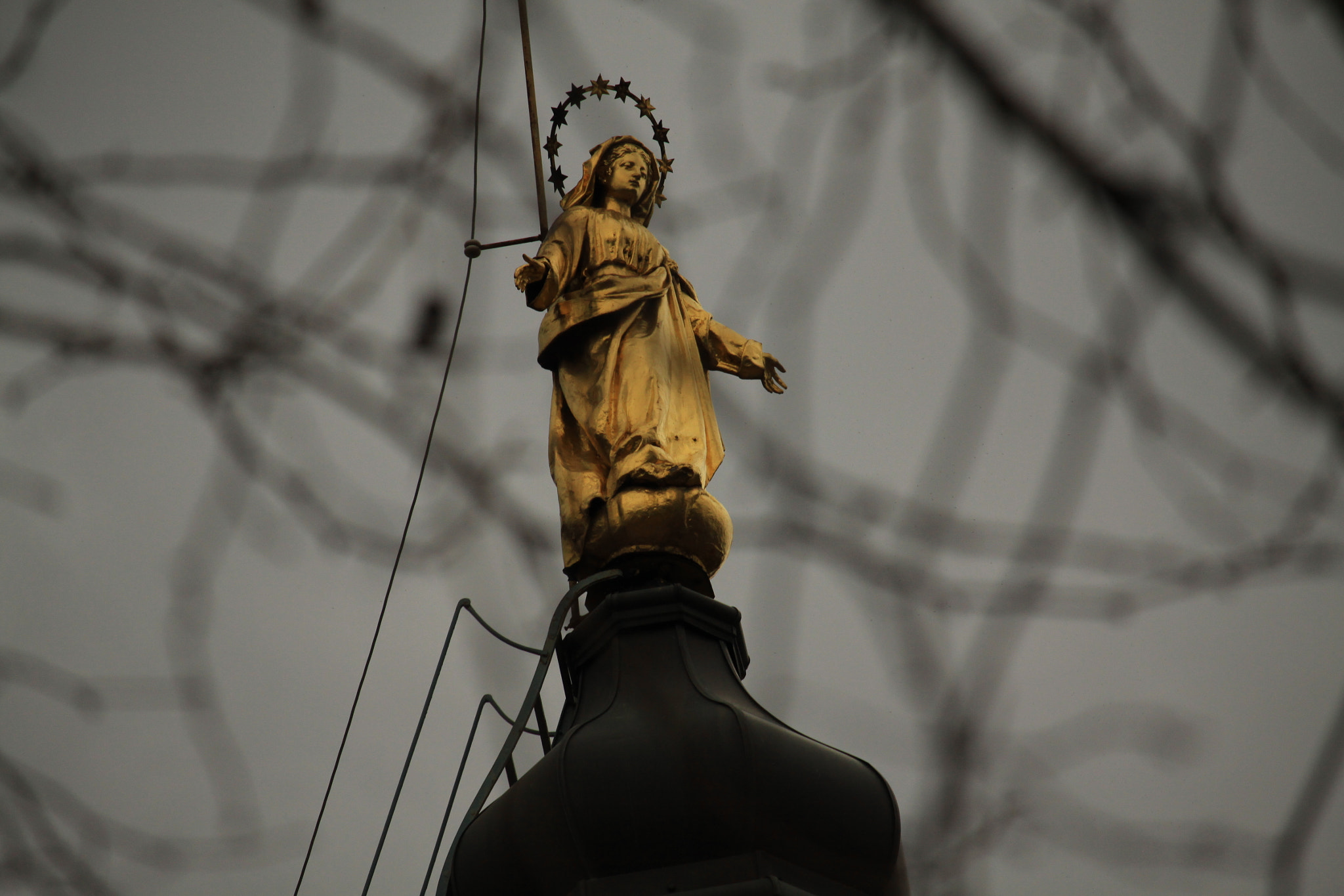 Canon EF-S 55-250mm F4-5.6 IS STM sample photo