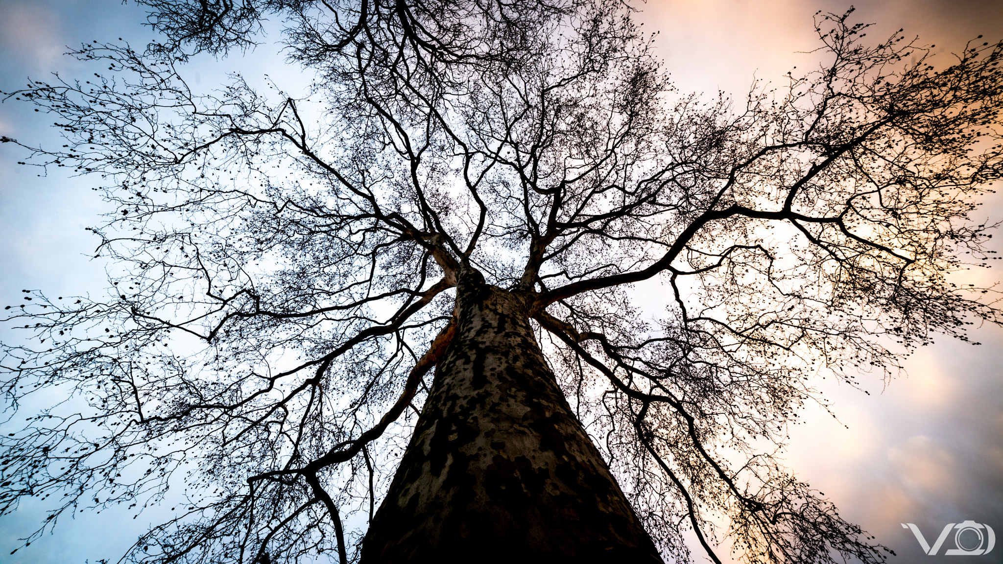 Samyang 14mm F2.8 ED AS IF UMC sample photo. Sunset side photography