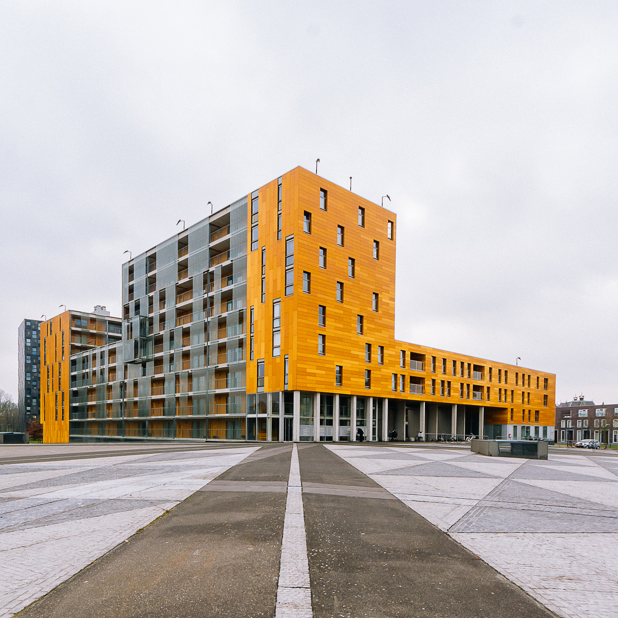 Sigma 8-16mm F4.5-5.6 DC HSM sample photo. Yellow photography