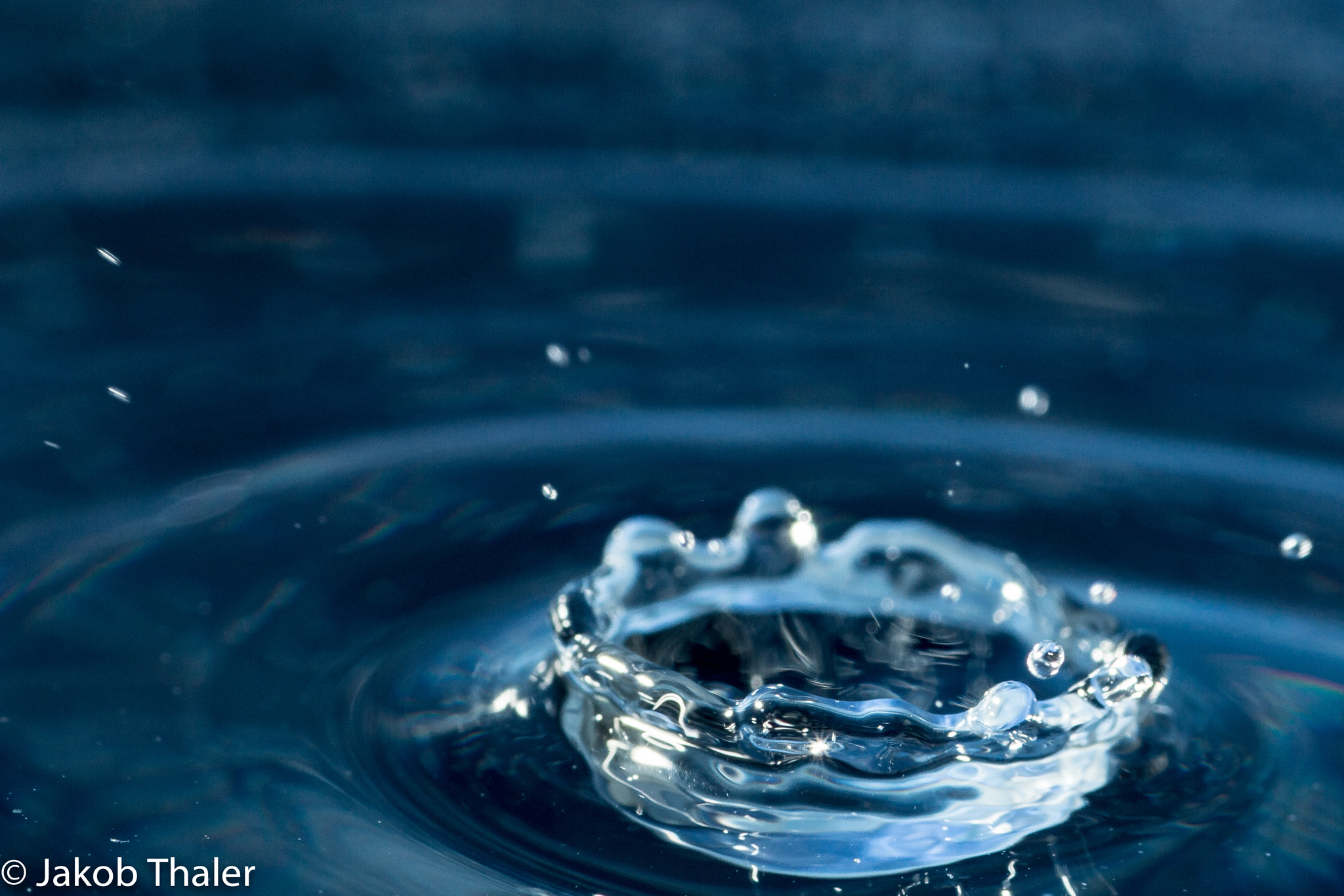 Tamron SP AF 90mm F2.8 Di Macro sample photo. Drops photography