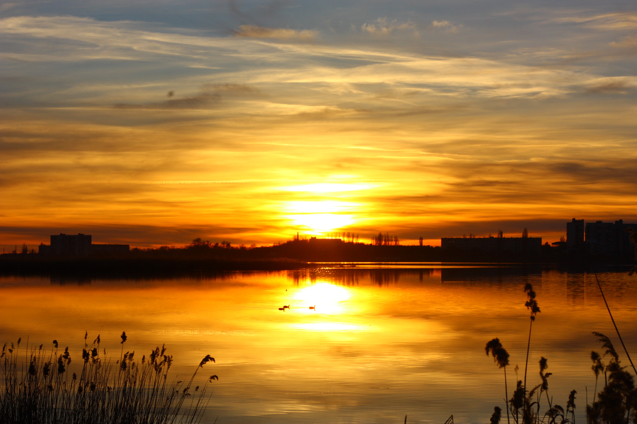 Canon EOS 450D (EOS Rebel XSi / EOS Kiss X2) + Canon EF 50mm F1.8 II sample photo. Today was a golden sunset photography