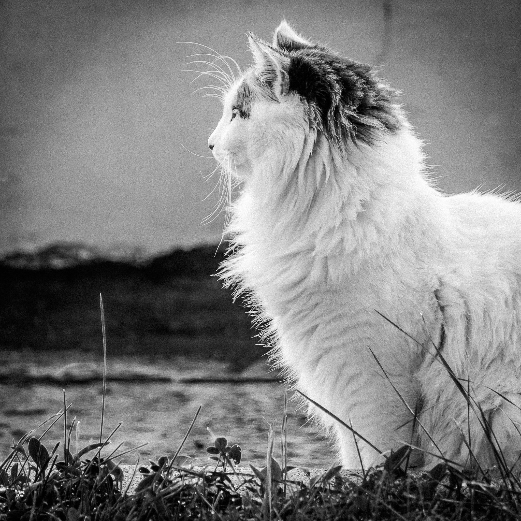 Canon EOS 600D (Rebel EOS T3i / EOS Kiss X5) sample photo. Carton photography