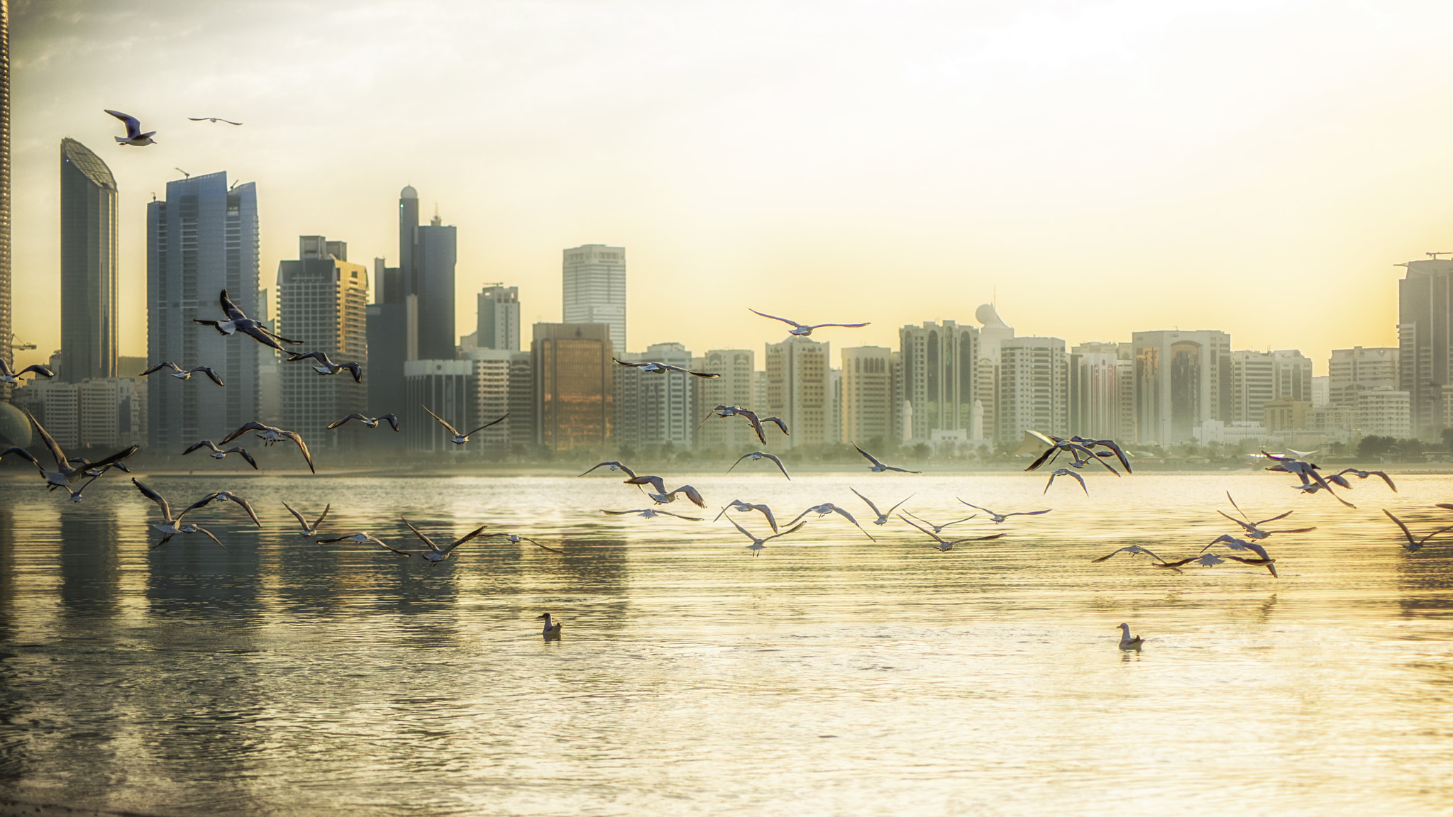Nikon D810 sample photo. Abu dhabi photography