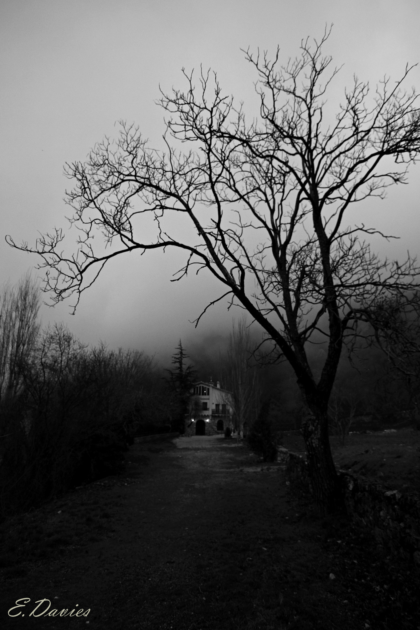 Canon EOS 650D (EOS Rebel T4i / EOS Kiss X6i) sample photo. Cazorla photography