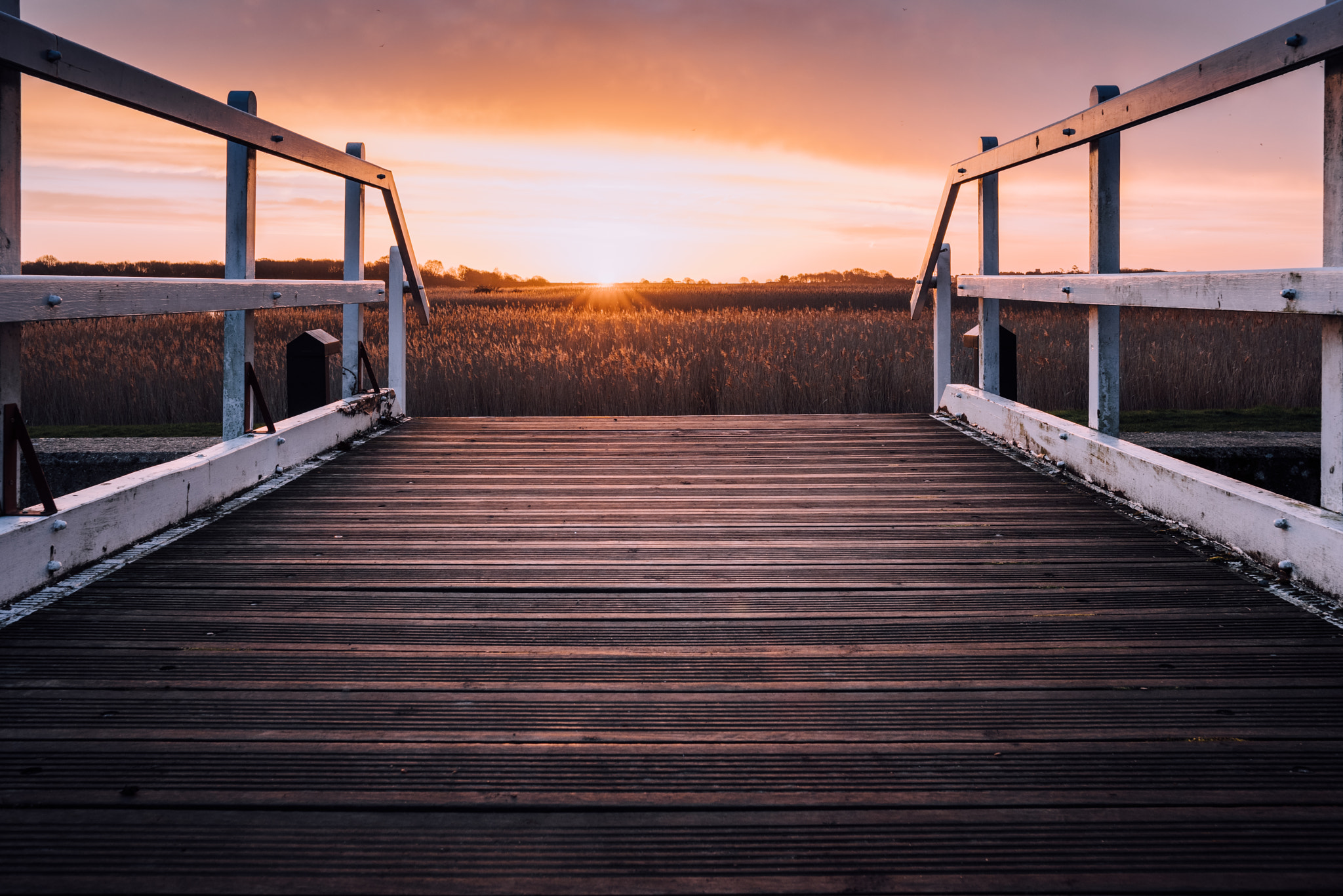 Fujifilm X-T2 + Fujifilm XF 23mm F2 R WR sample photo. Snape marshlands photography