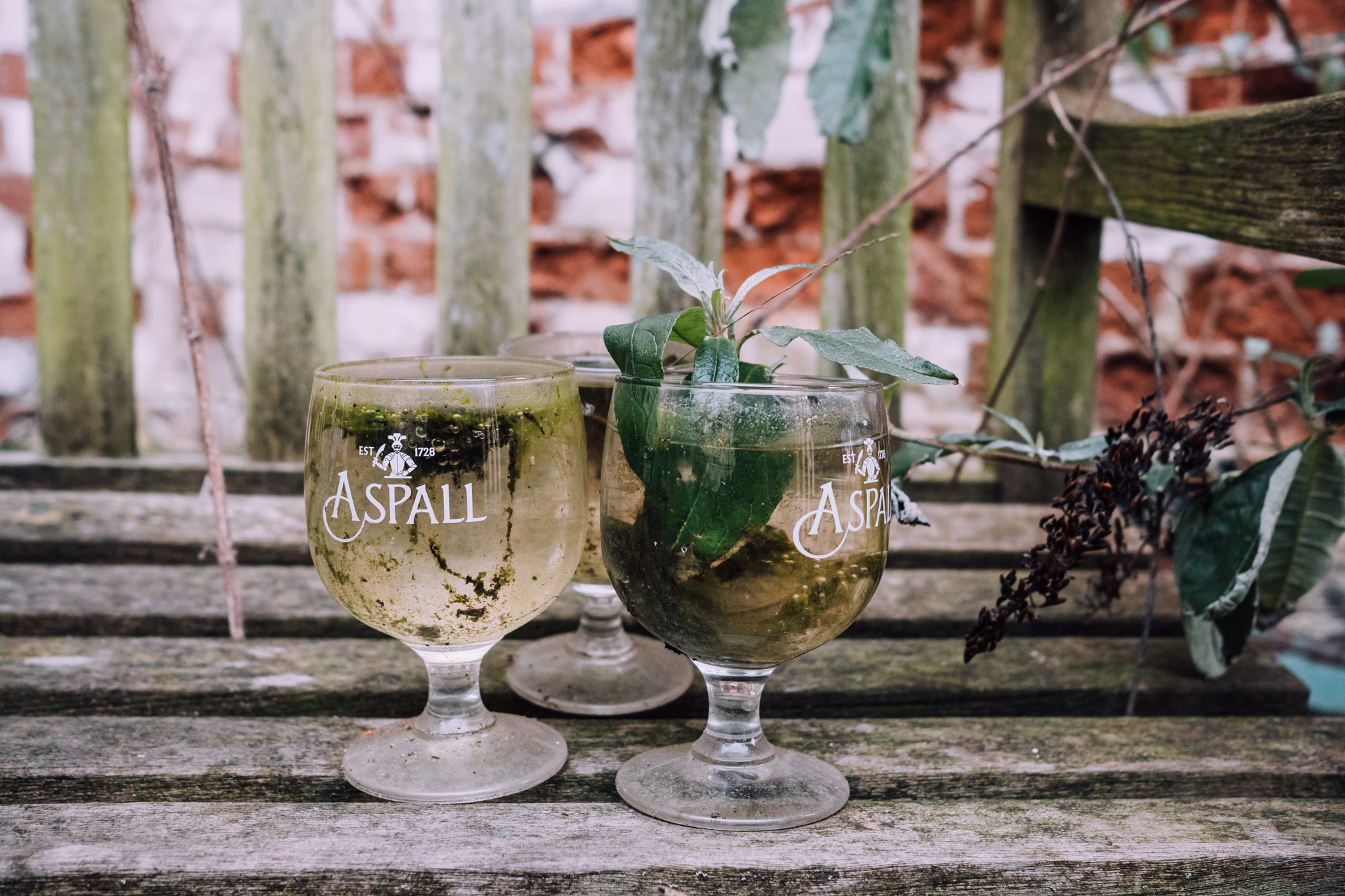Fujifilm X-T2 sample photo. Reclaimed cider glasses photography