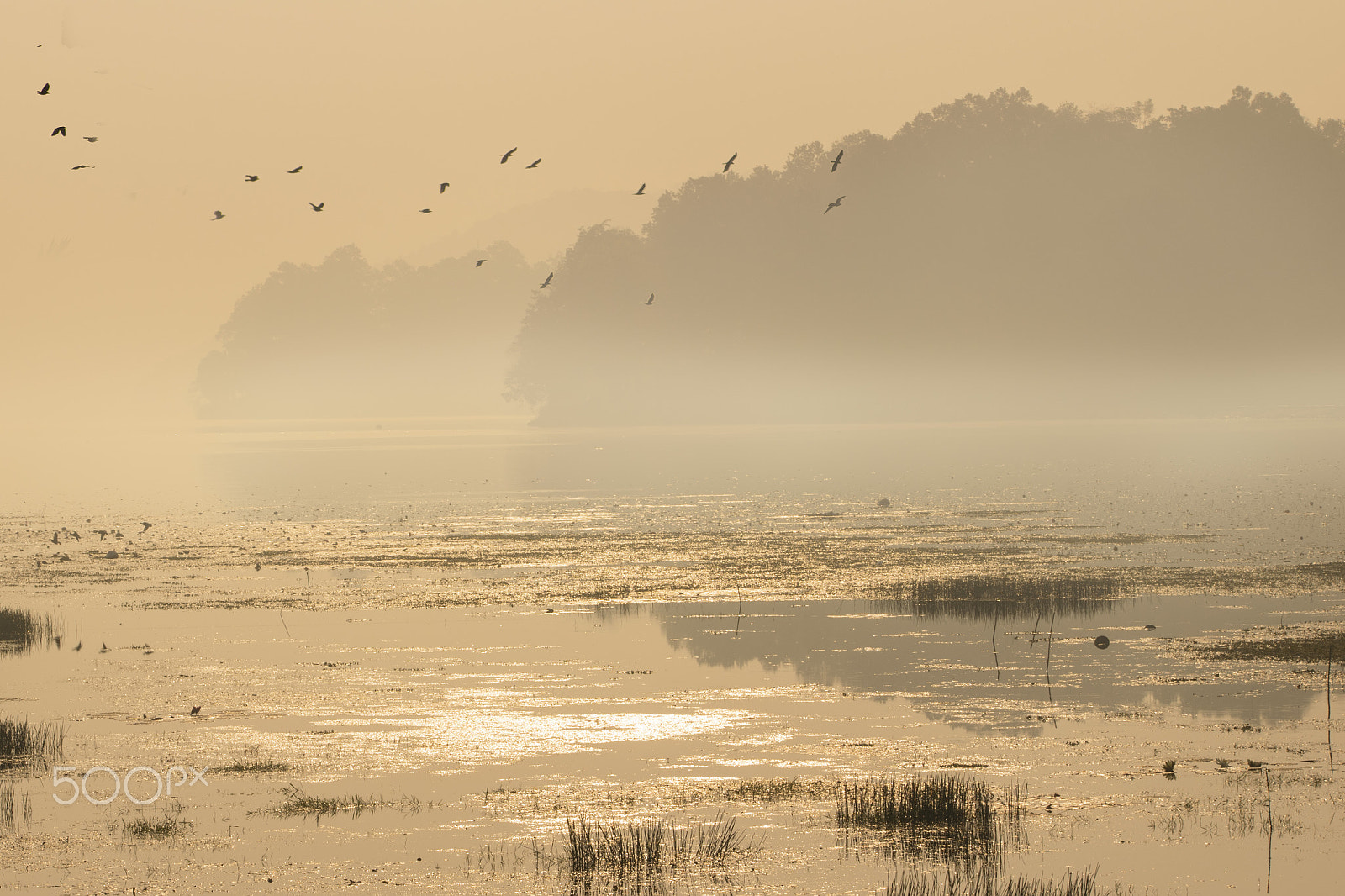 Nikon D5300 + Sigma 70-300mm F4-5.6 DG OS sample photo. Daybreak over dimna lake photography