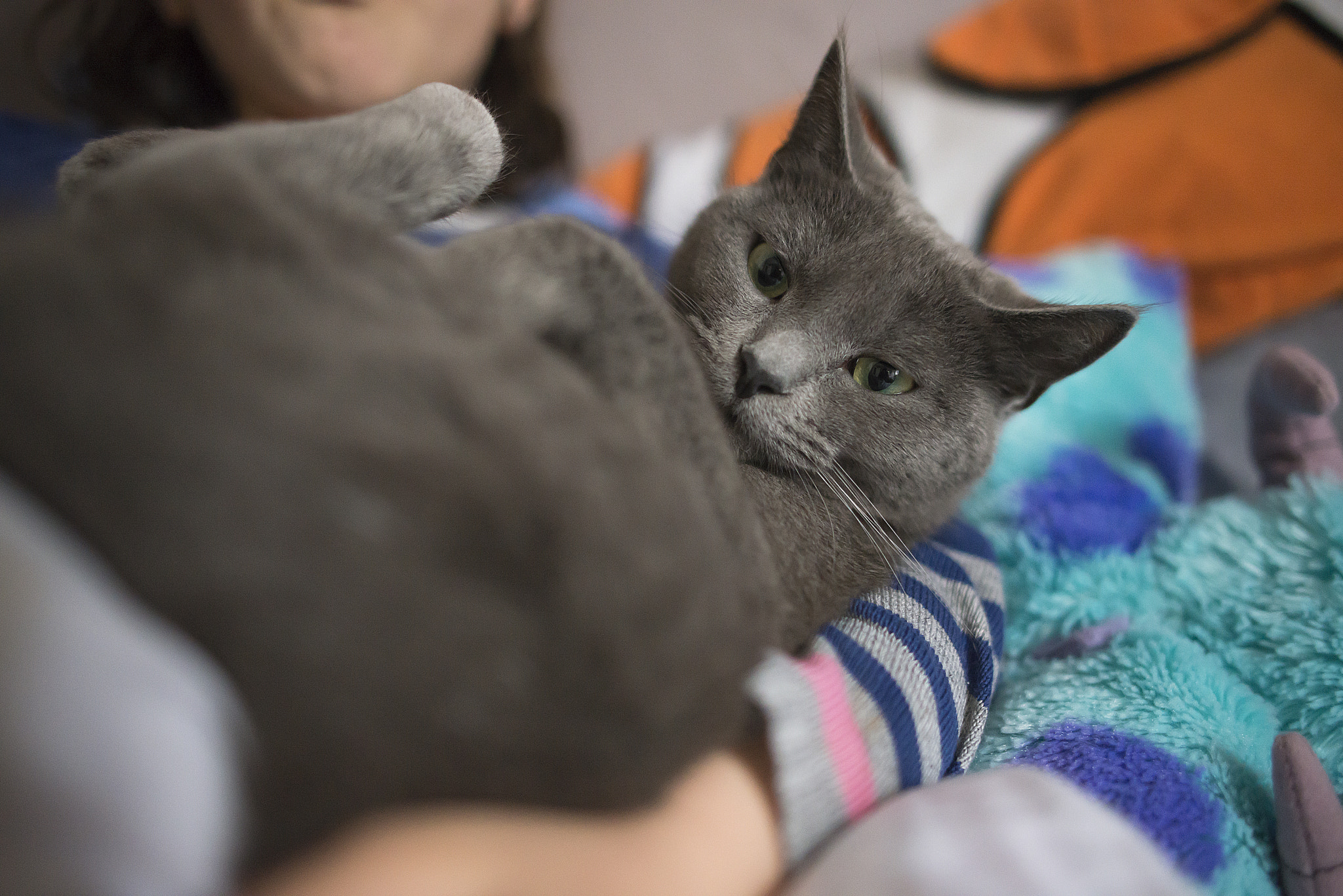 Nikon D610 + Nikon AF-S Nikkor 28mm F1.8G sample photo. - big baby - photography