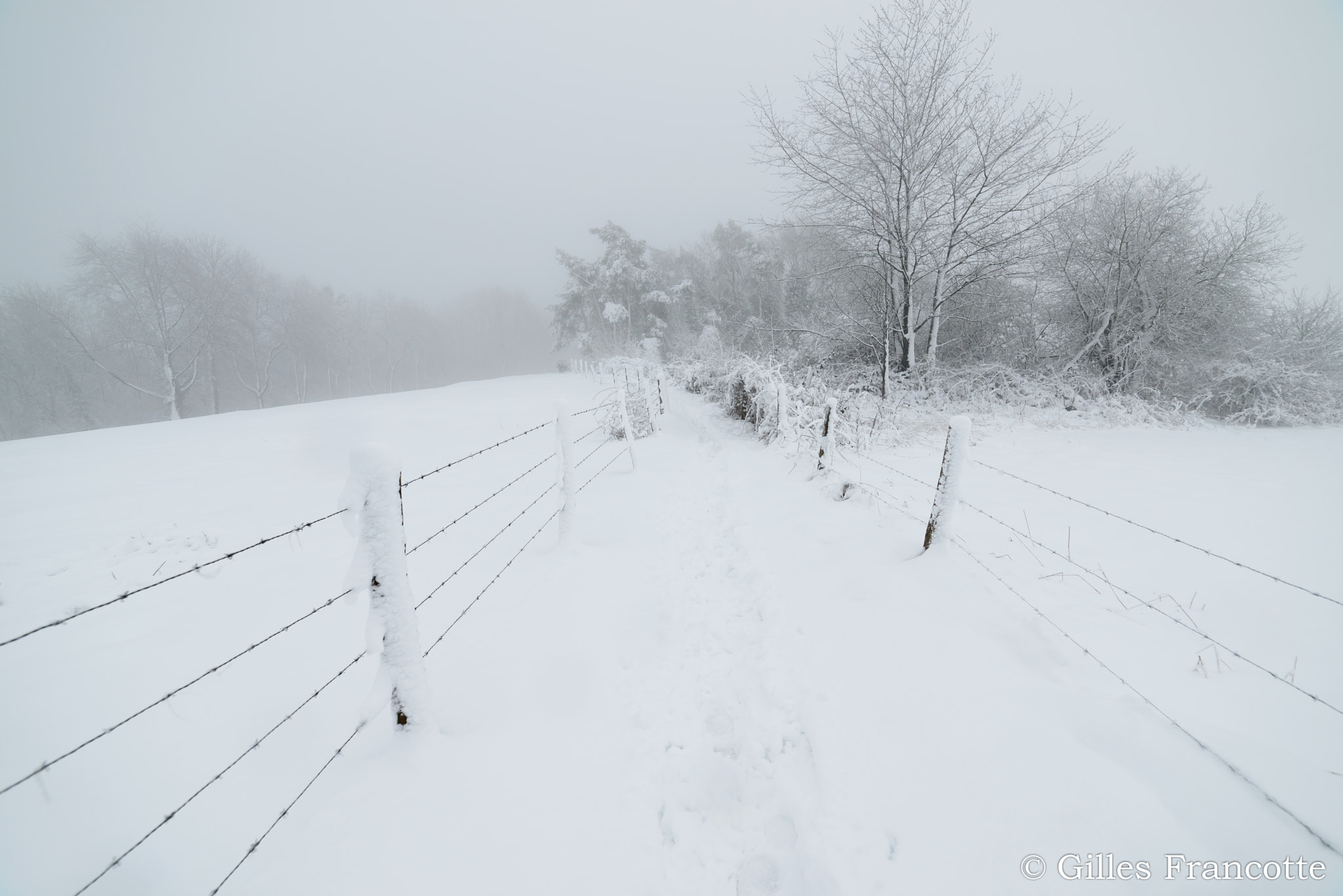 Nikon D800 + Samyang 14mm F2.8 ED AS IF UMC sample photo. Lost in the blizzard. photography