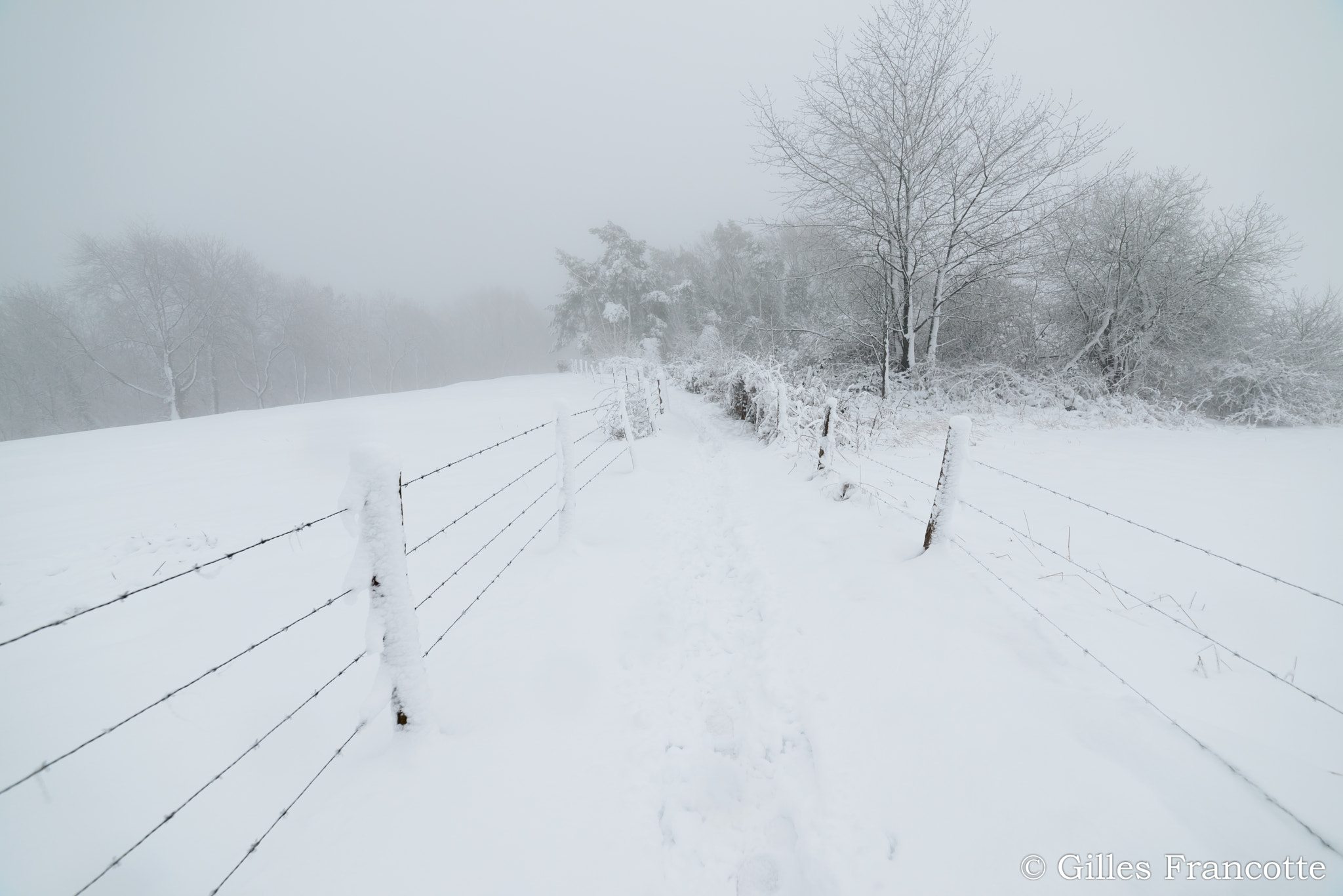 Samyang 14mm F2.8 ED AS IF UMC sample photo. Lost in the blizzard. photography