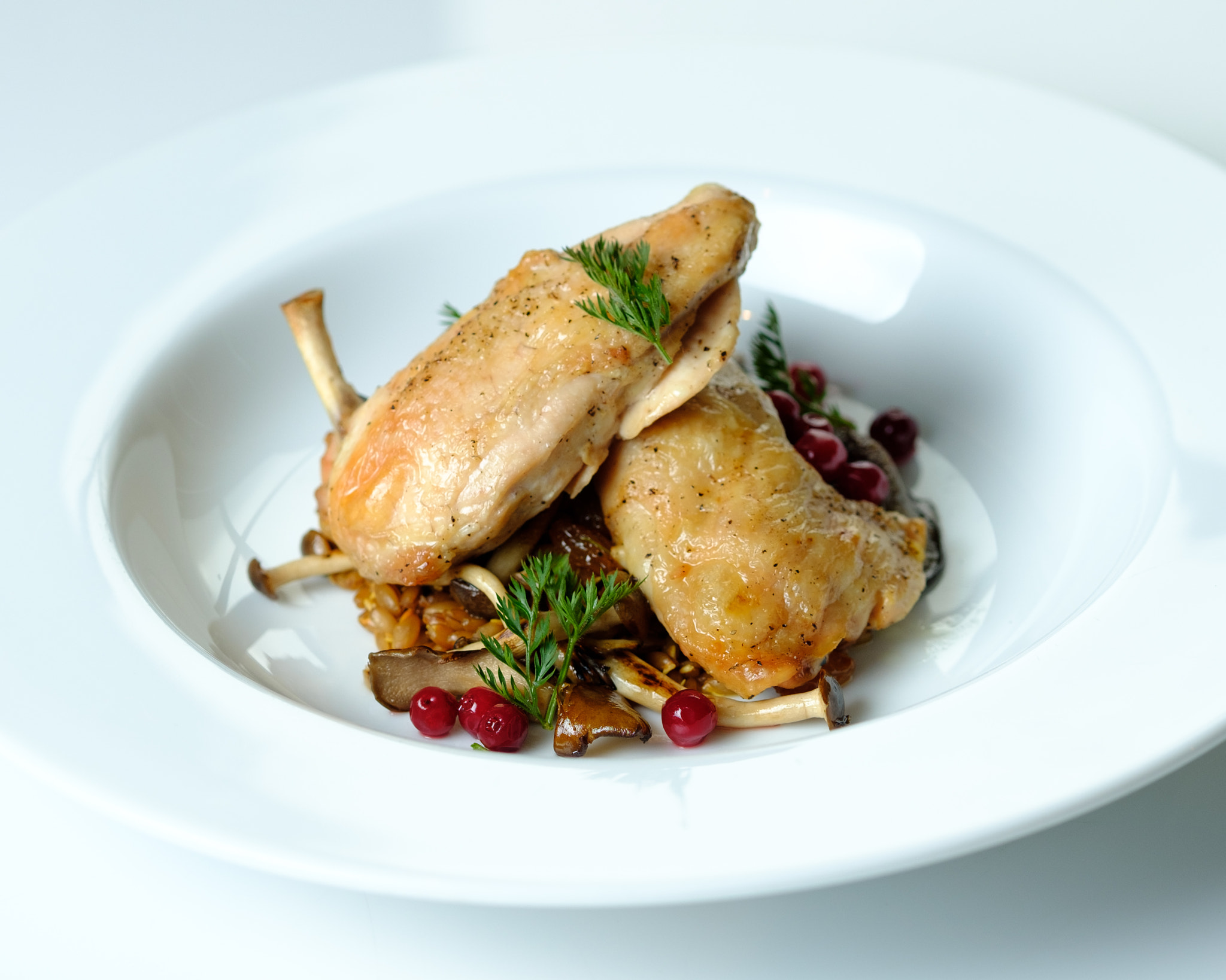Fujifilm X-Pro2 + Fujifilm XF 90mm F2 R LM WR sample photo. Hay smoked hen photography