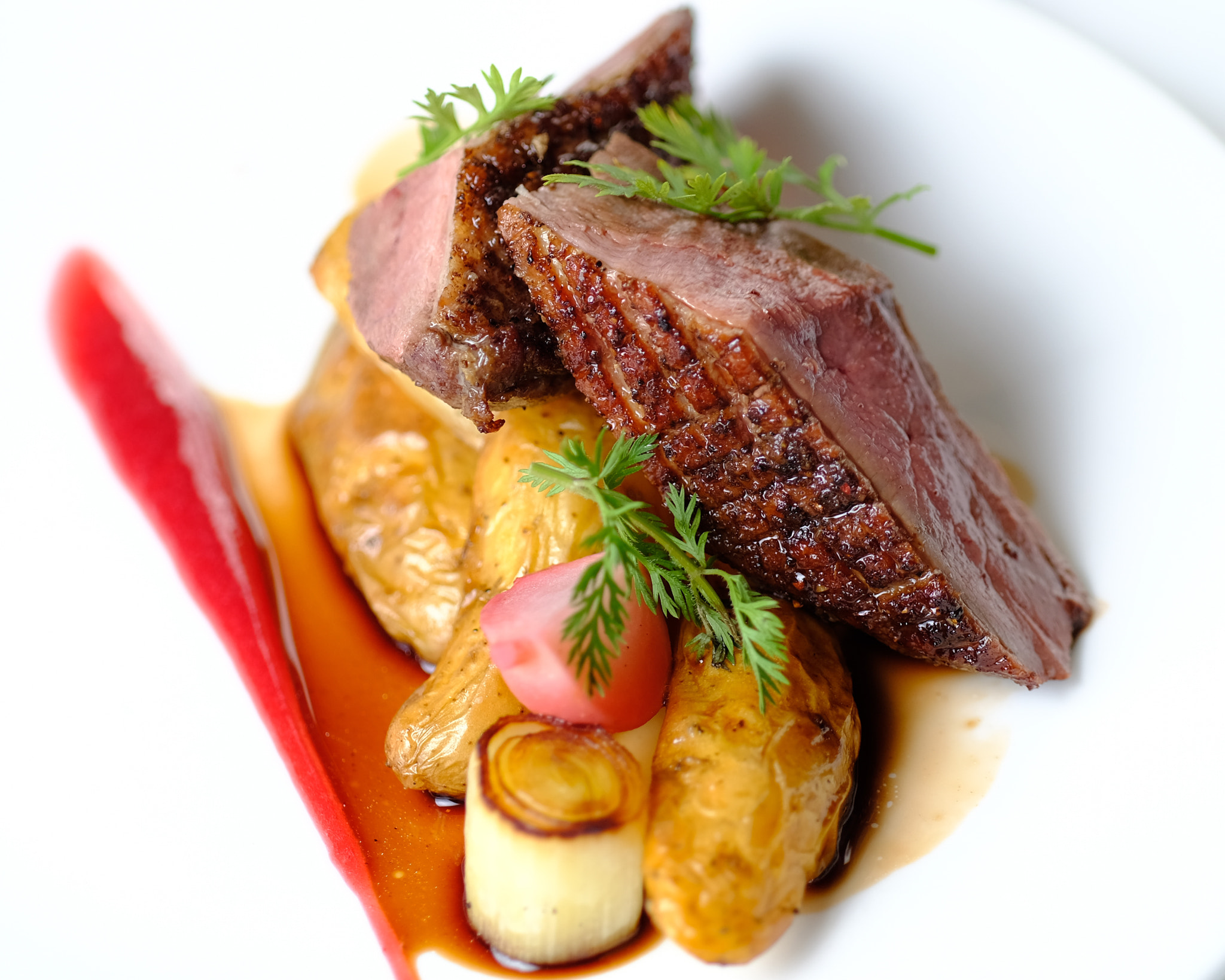 Fujifilm X-Pro2 + Fujifilm XF 90mm F2 R LM WR sample photo. Five spice duck breast photography