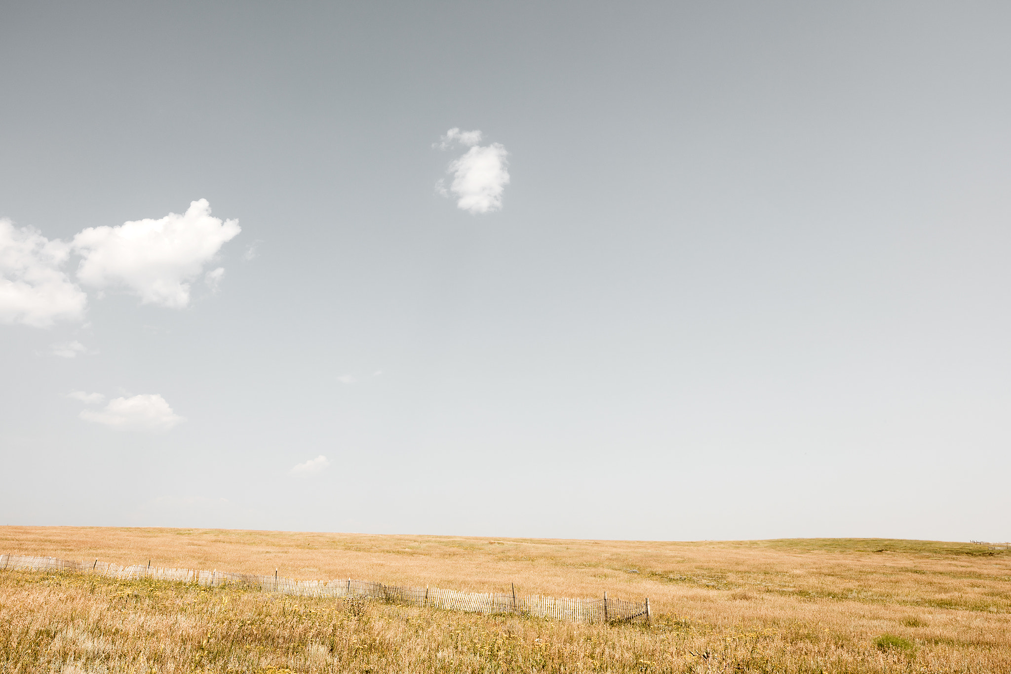 Canon EF 16-35mm F2.8L II USM sample photo. The fence in the field, colorado photography