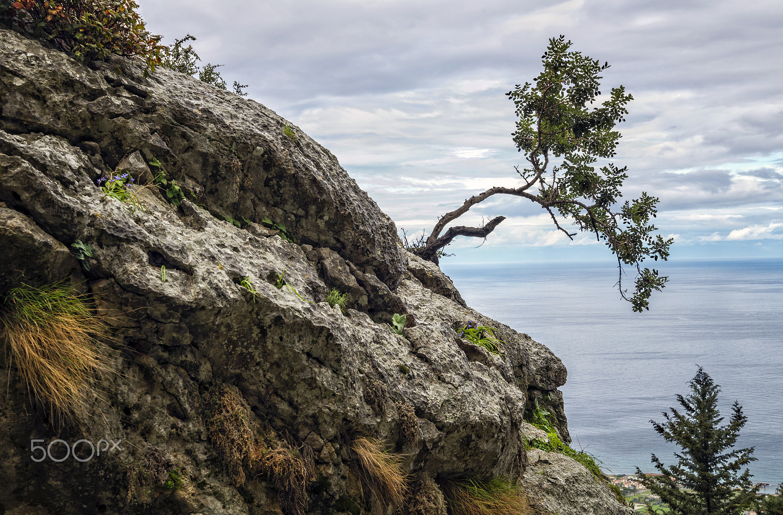 Nikon D800 sample photo. Natures miracle photography