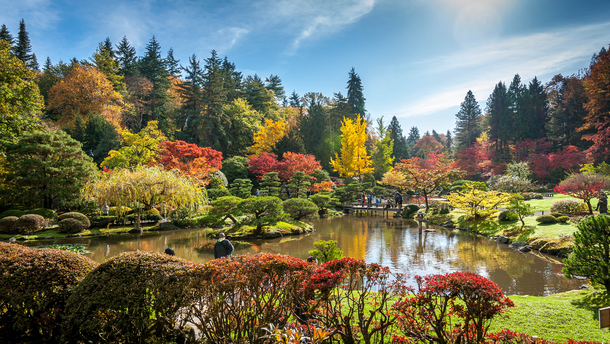 Nikon D700 sample photo. Japanese garden photography