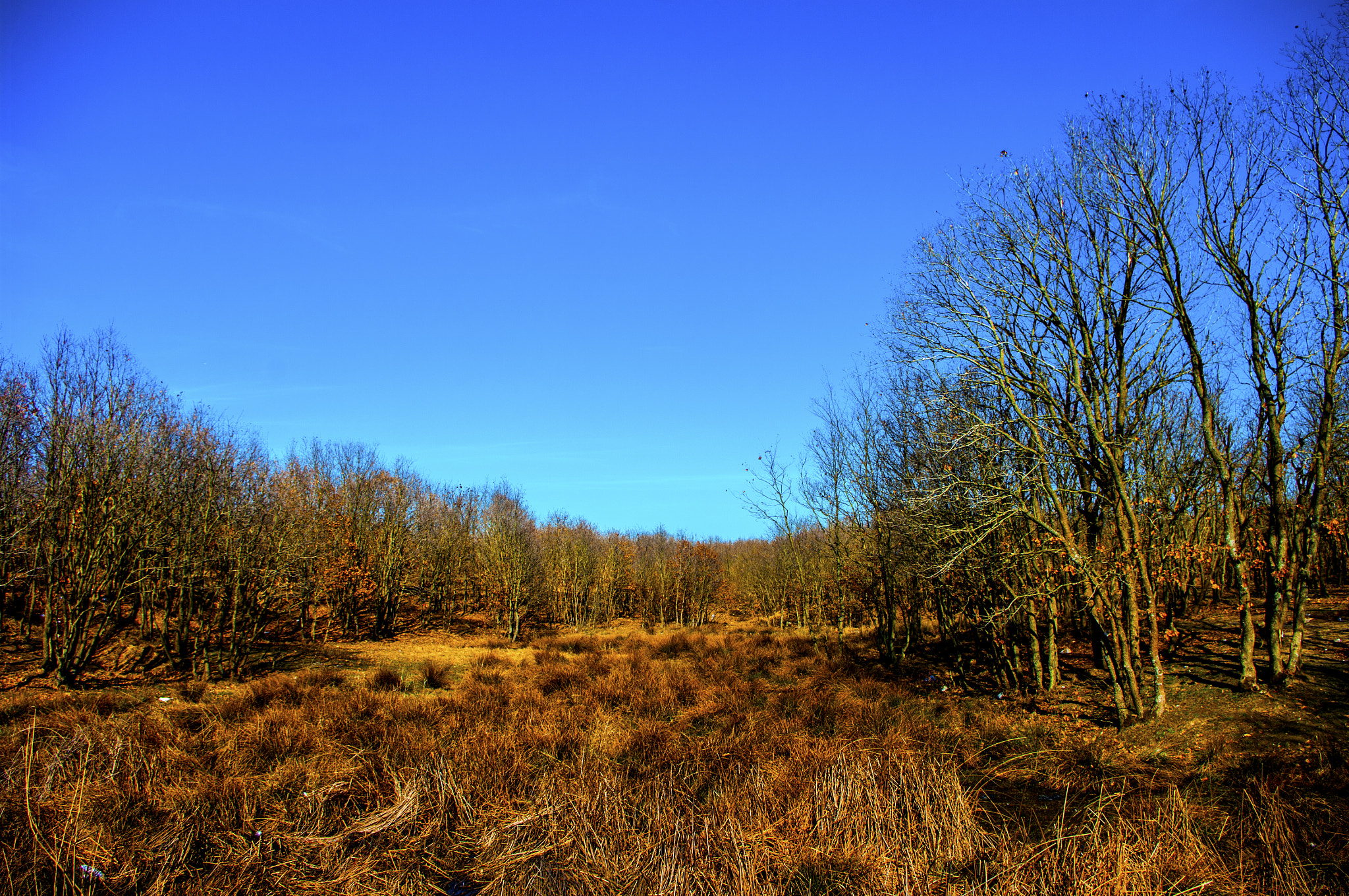 smc PENTAX-DA L 18-55mm F3.5-5.6 sample photo. Kd photography