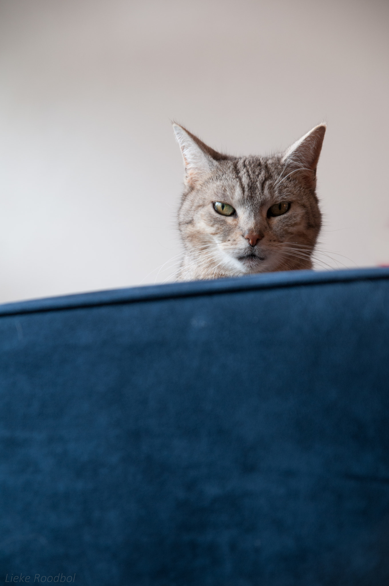 Sigma 17-70mm F2.8-4.5 DC Macro Asp. IF sample photo. This is my chair now photography