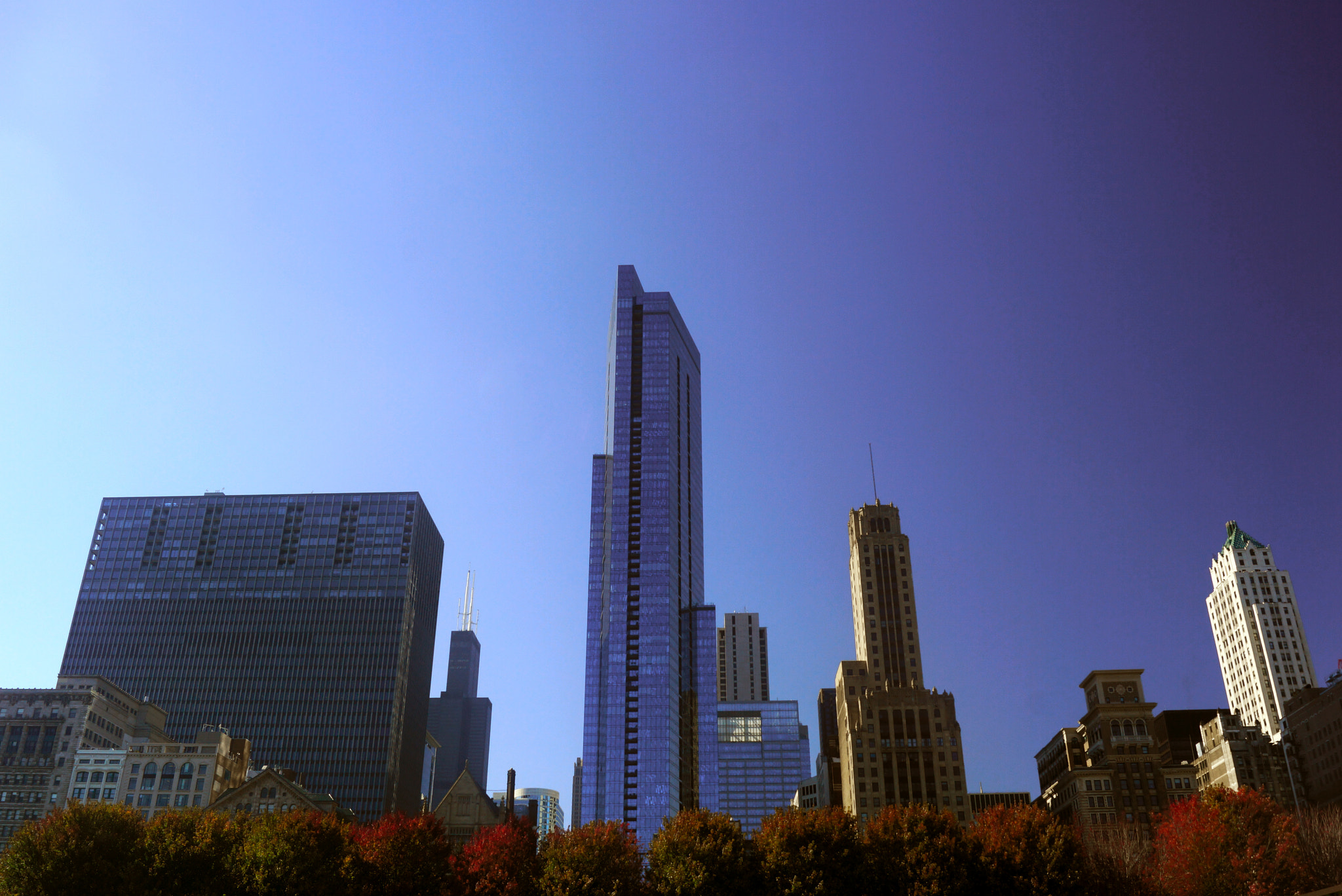 Sony SLT-A65 (SLT-A65V) + Sony DT 18-55mm F3.5-5.6 SAM sample photo. Chicago photography