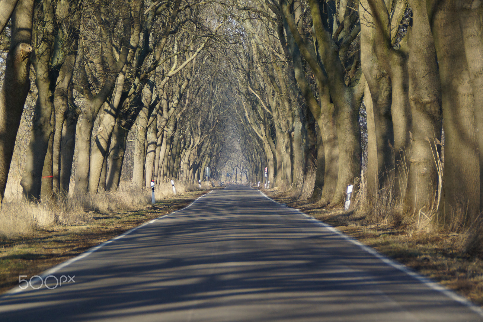 Sony DT 18-200mm F3.5-6.3 sample photo. Germany, linum v (i am back ;o) photography