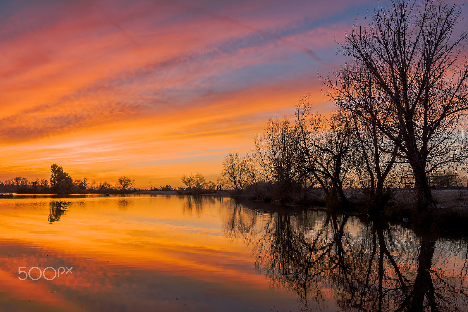 Nikon AF-S Nikkor 16-35mm F4G ED VR sample photo. Truxtun lake orange photography