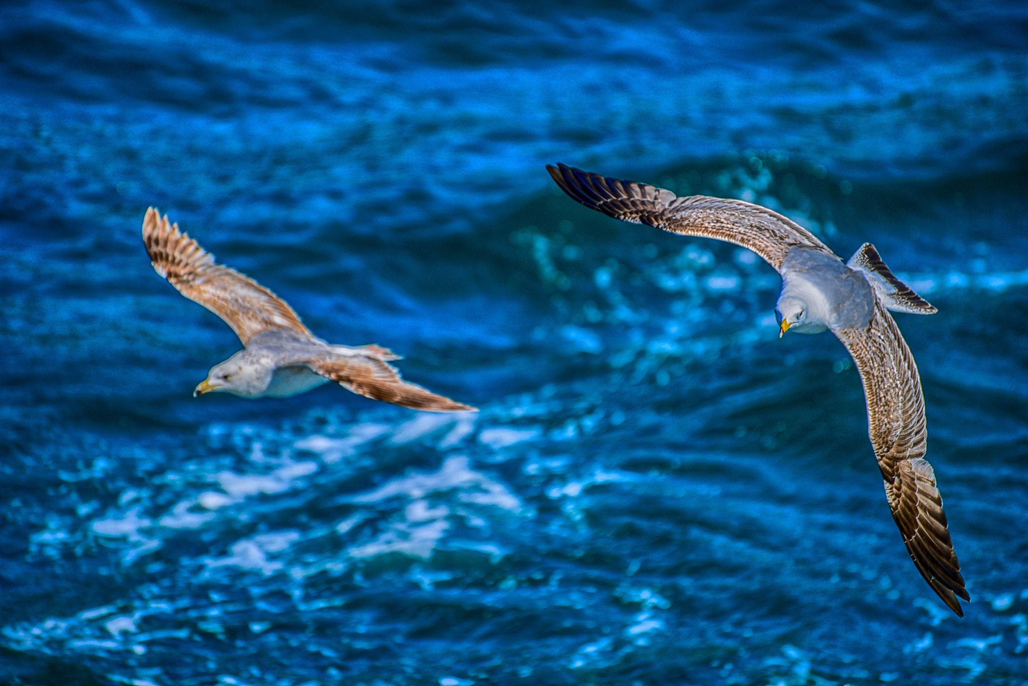 Nikon D800 sample photo. ... photography