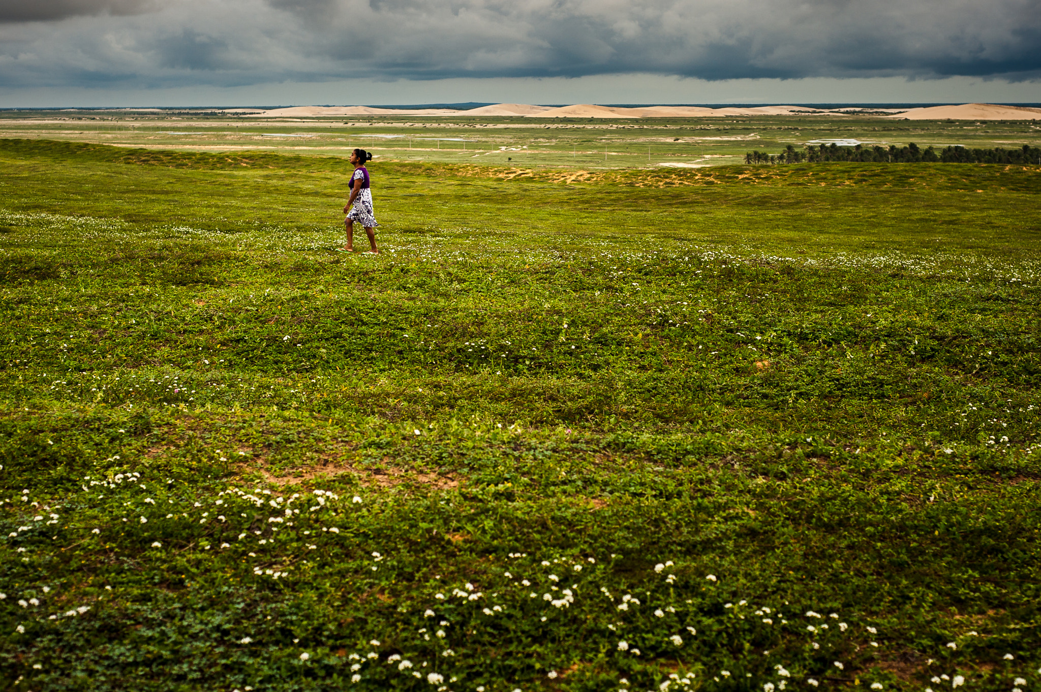 Nikon D700 + Nikon AF Nikkor 50mm F1.8D sample photo. Woman at the field photography