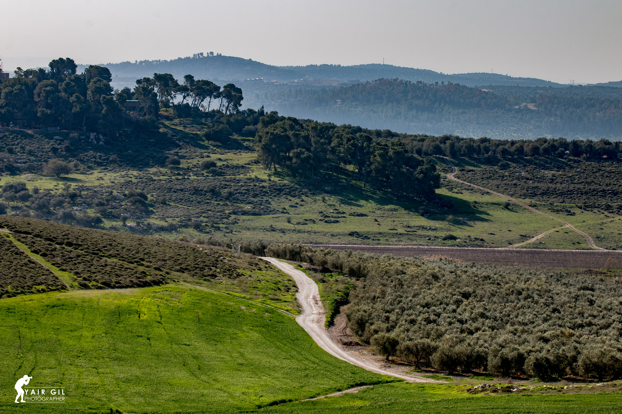 Tamron SP 35mm F1.8 Di VC USD sample photo. View from the hill photography