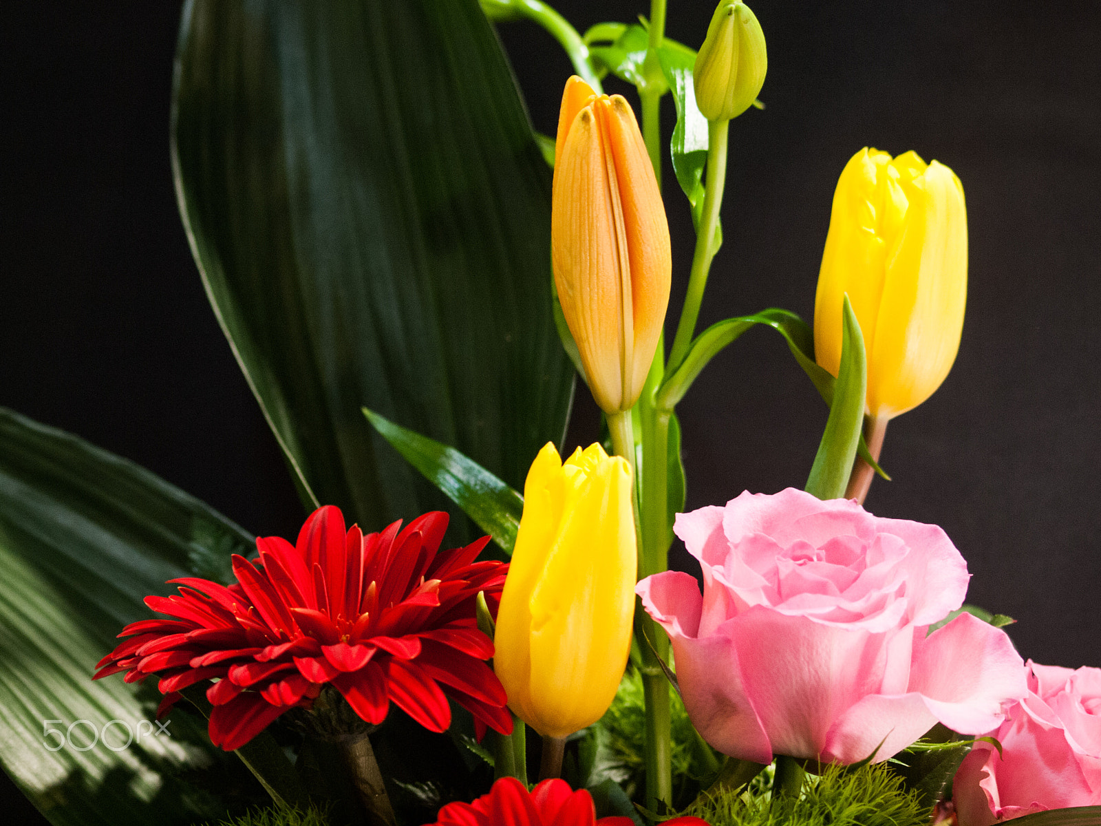 Olympus E-620 (EVOLT E-620) sample photo. Beautiful mix photography