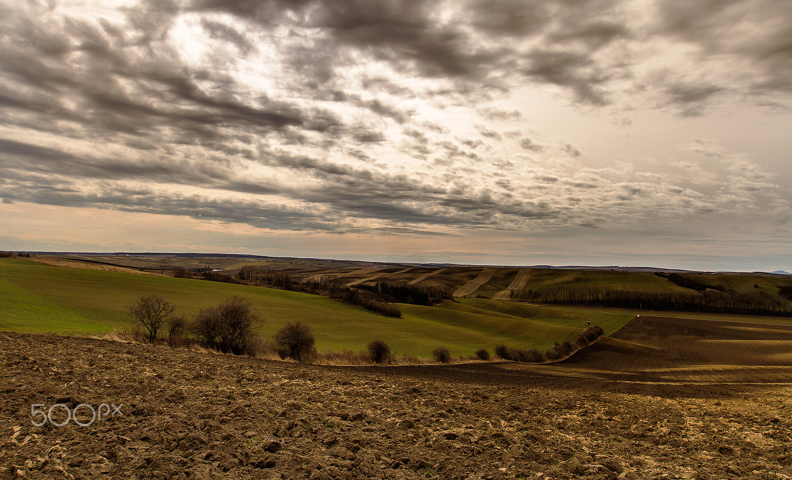 Canon EF 16-35mm F2.8L II USM sample photo. ...morava... photography