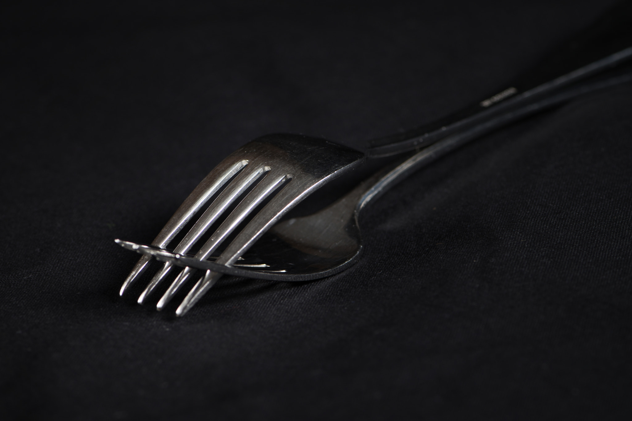 Nikon AF-S Micro-Nikkor 105mm F2.8G IF-ED VR sample photo. Two forks photography