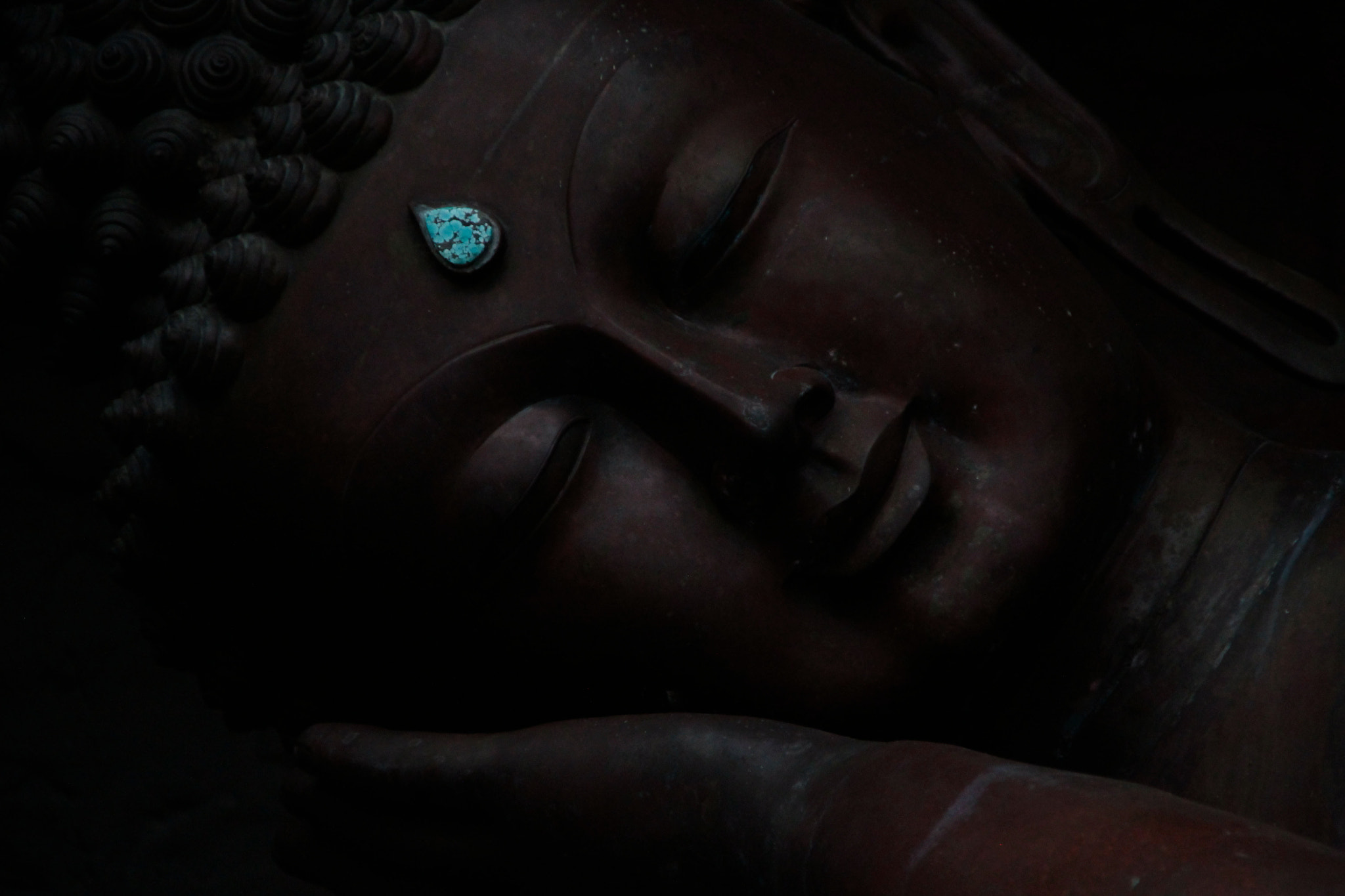 Sigma 18-250mm F3.5-6.3 DC OS HSM sample photo. Sleeping photography