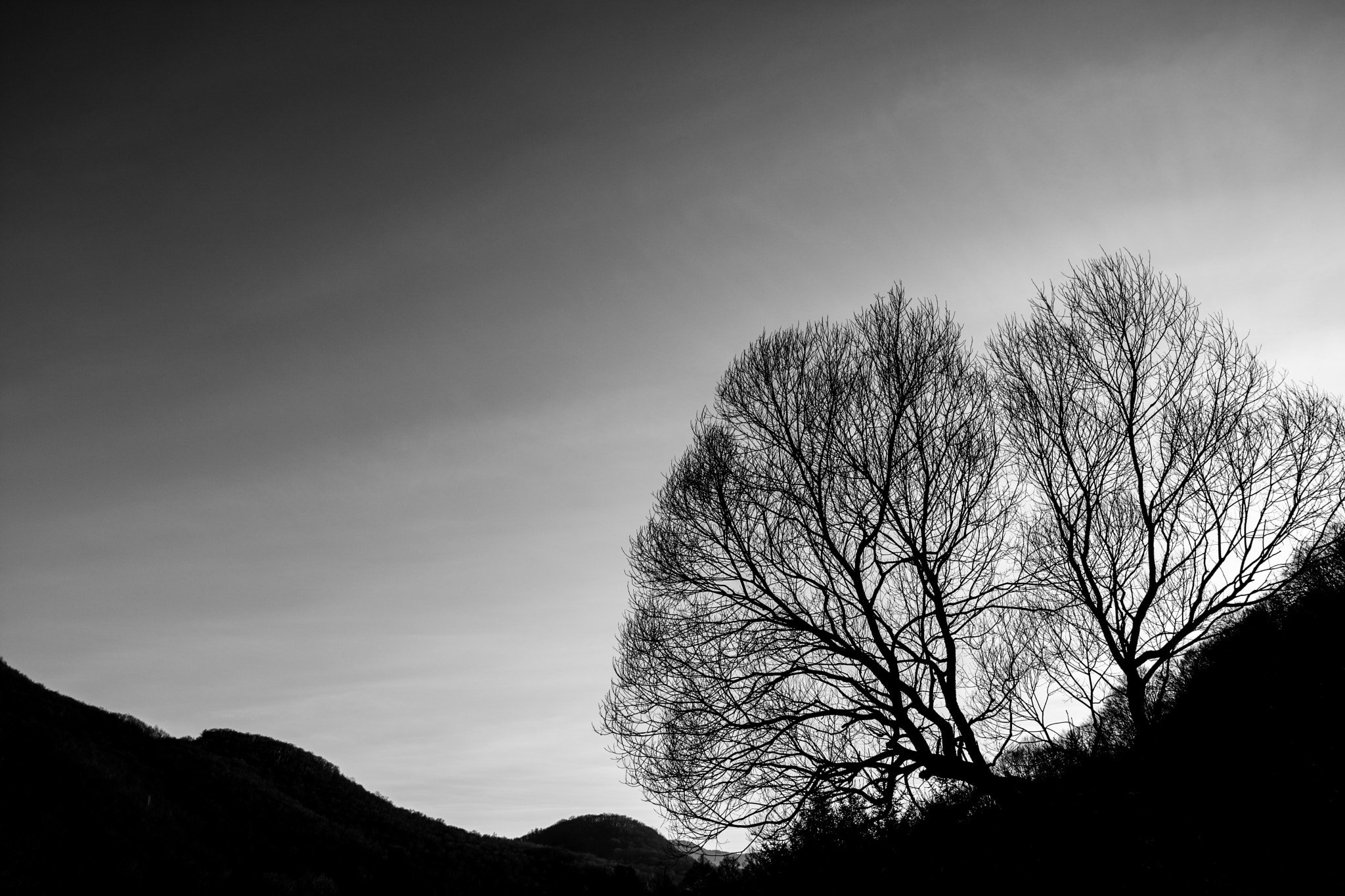 Samyang 14mm F2.8 ED AS IF UMC sample photo. Dsc.jpg photography