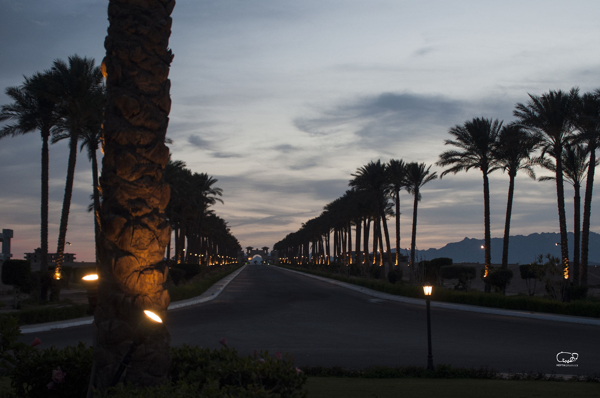 AF Zoom-Nikkor 35-135mm f/3.5-4.5 N sample photo. Hurghada ,egypt. photography