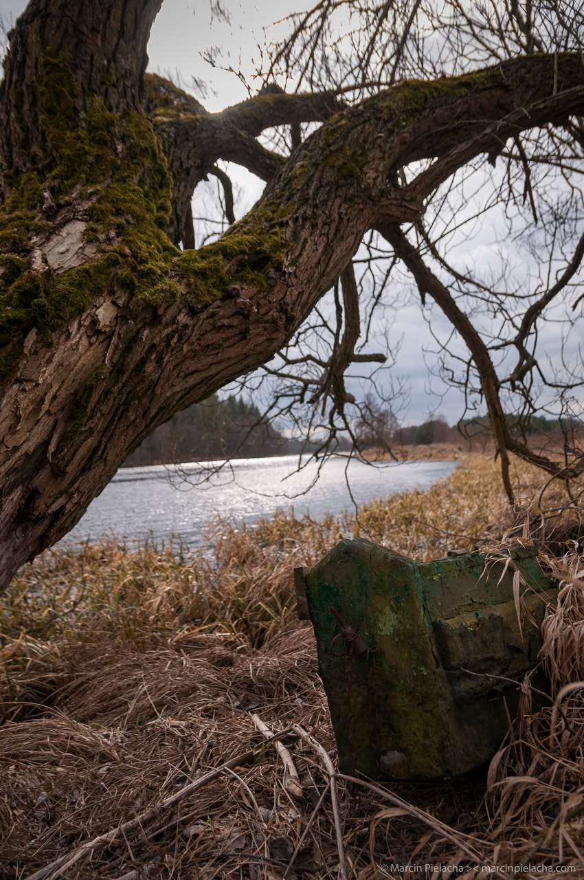 Sigma 17-50mm F2.8 EX DC OS HSM sample photo. ... photography