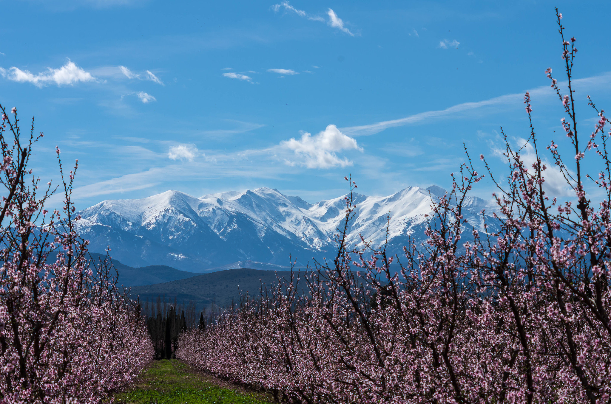 Pentax smc DA 55-300mm F4.0-5.8 ED sample photo. Le printemps efface la blancheur hivernale photography