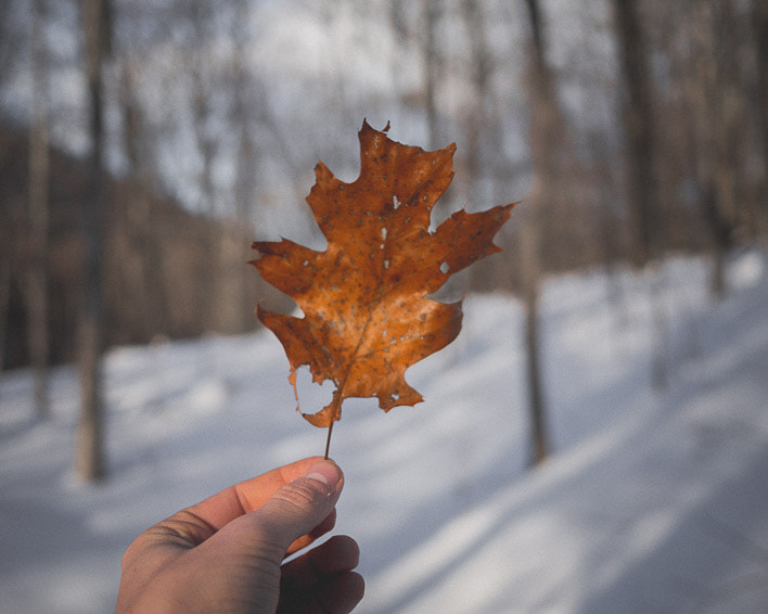 Olympus OM-D E-M10 sample photo. Life in winter  photography