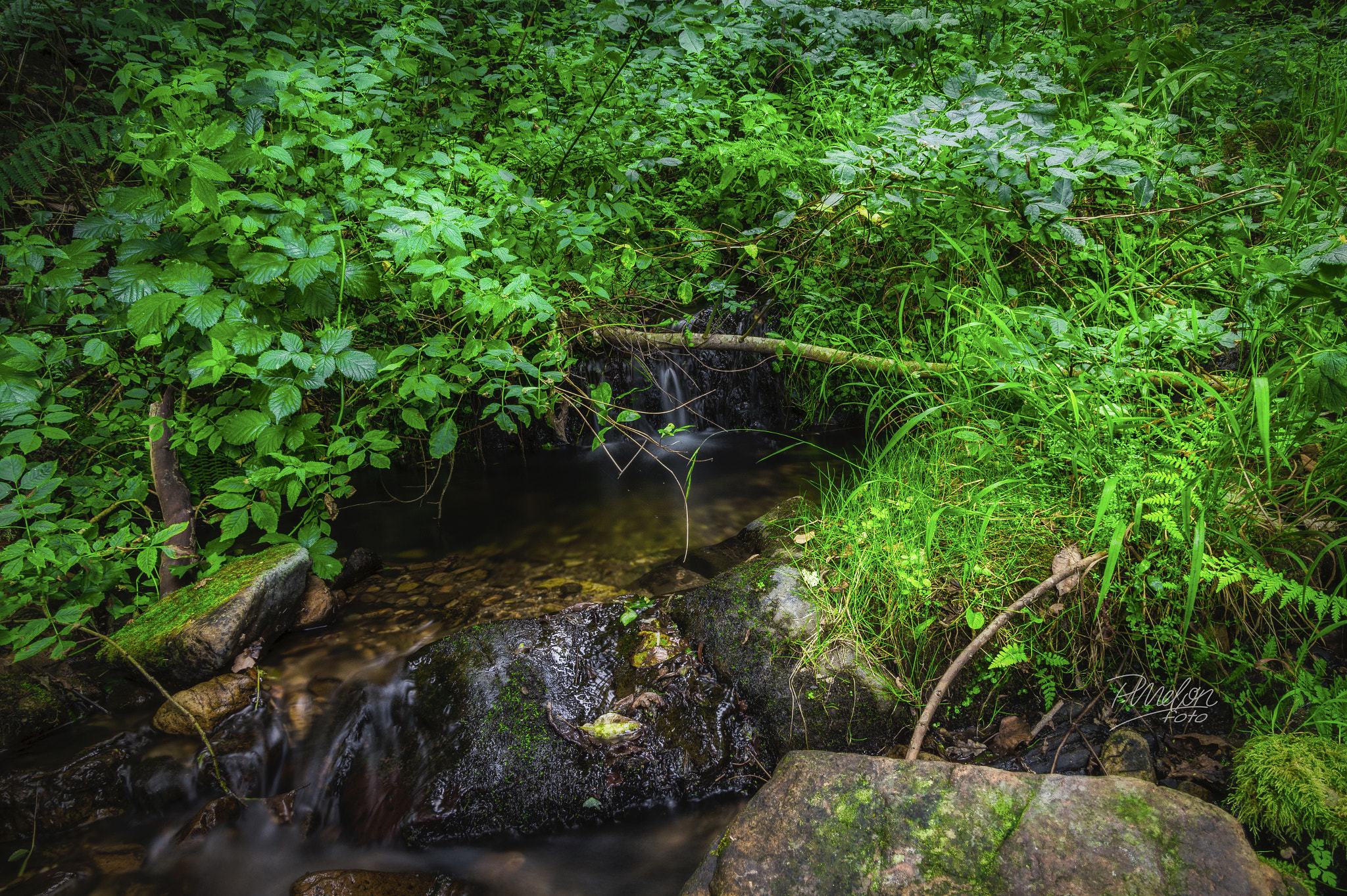 Sony SLT-A58 + Tamron 16-300mm F3.5-6.3 Di II VC PZD Macro sample photo. Arroyo de bodes - agosto 2016 photography