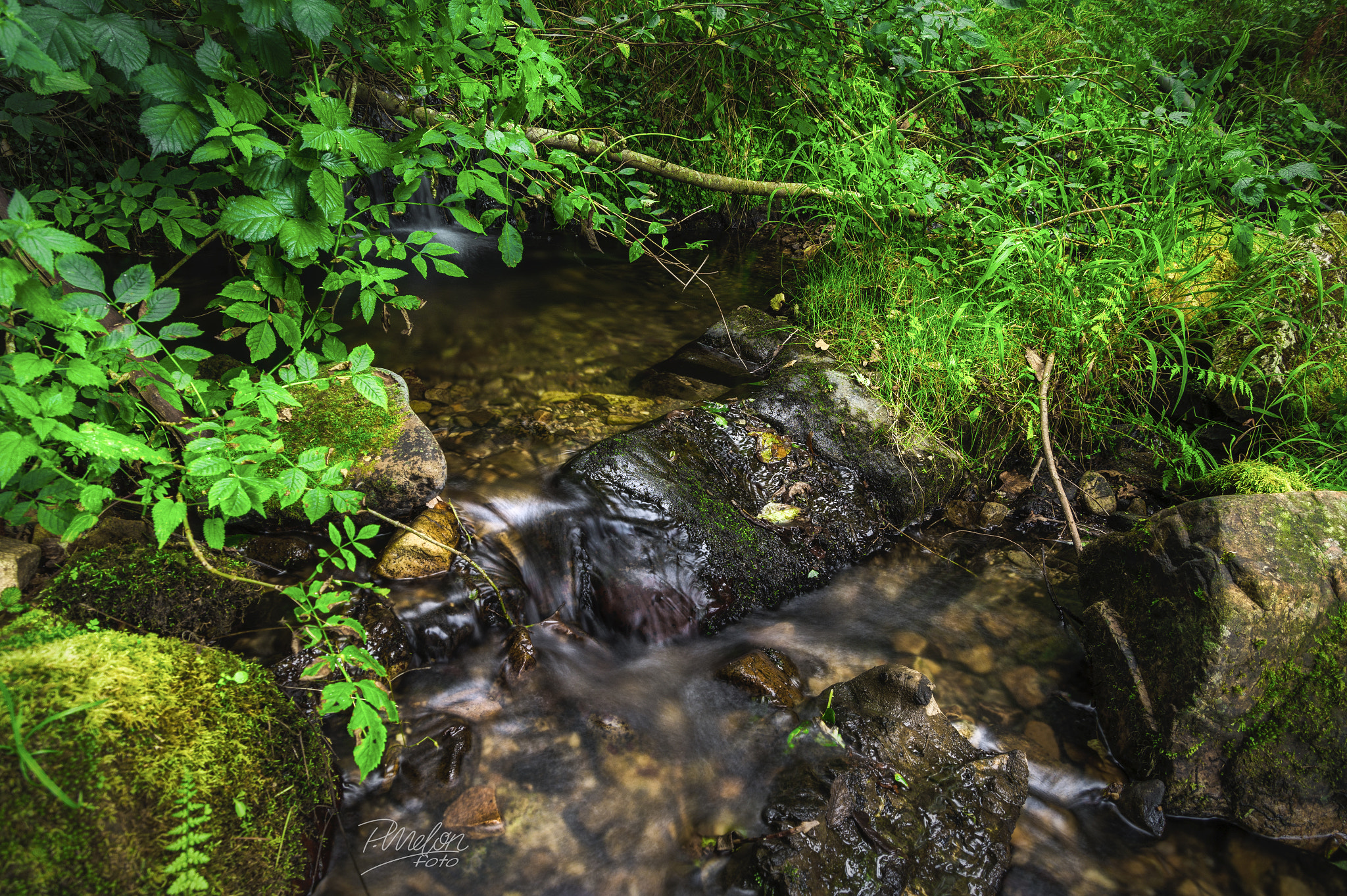 Tamron 16-300mm F3.5-6.3 Di II VC PZD Macro sample photo. Arroyo de bodes - agosto 2016 photography