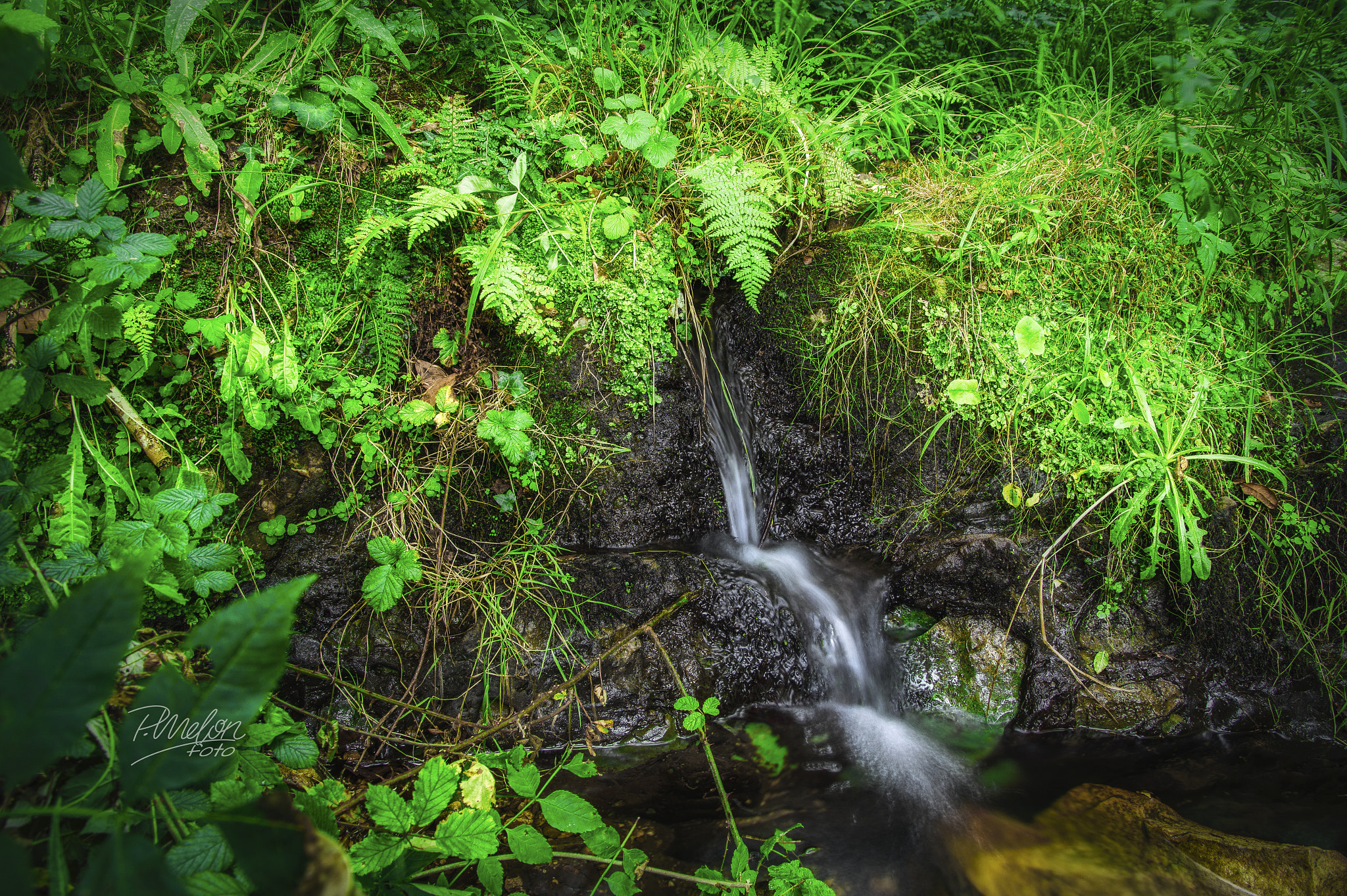 Sony SLT-A58 + Tamron 16-300mm F3.5-6.3 Di II VC PZD Macro sample photo. Arroyo de bodes - agosto 2016 photography