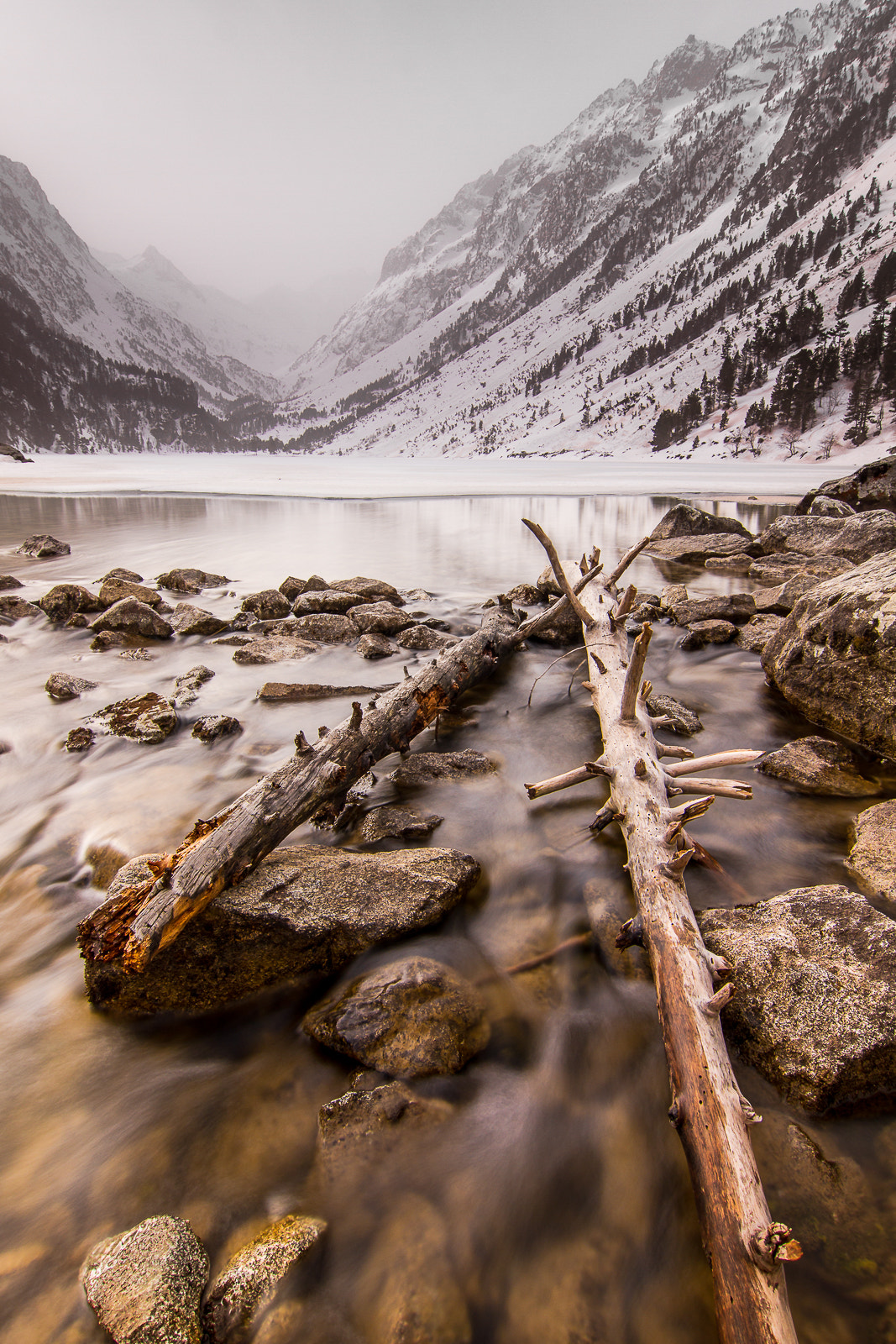 Tokina AT-X Pro 12-24mm F4 (IF) DX sample photo. Bois de gaube photography